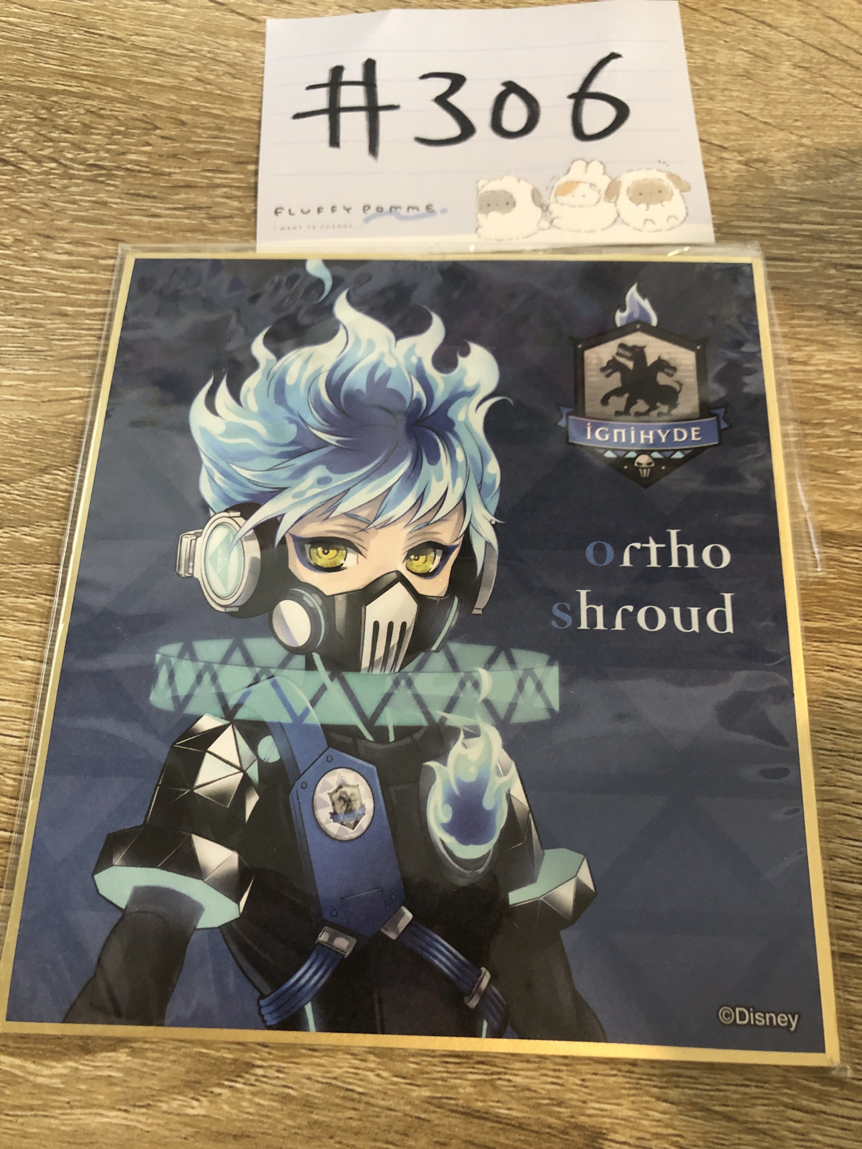 TWST ortho 色紙#306