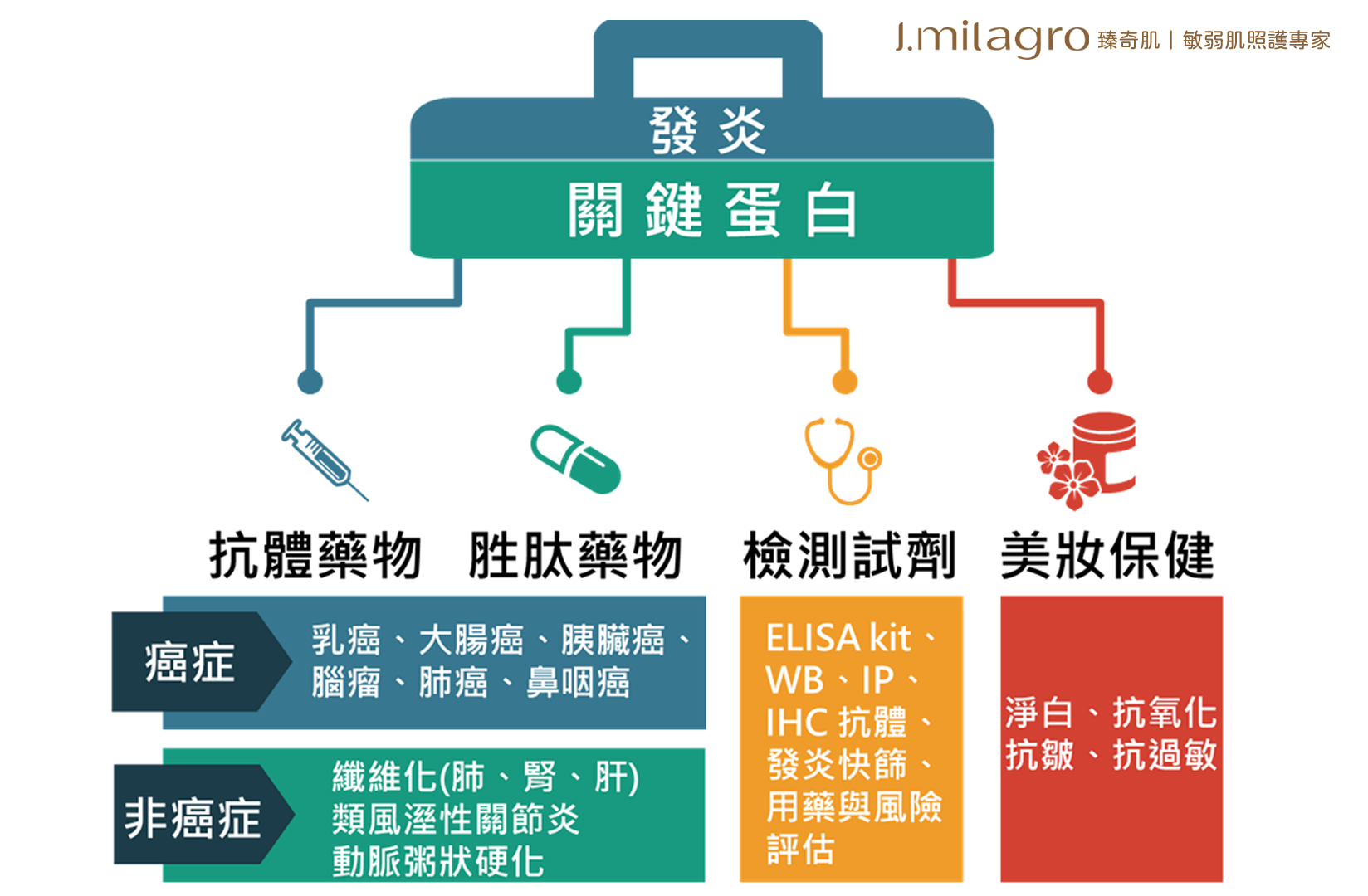 #Jmilagro#臻奇肌#敏弱肌照護專家#臻崴生技#奇肌胜肽#Skin care#奇蹟#發炎#關鍵蛋白