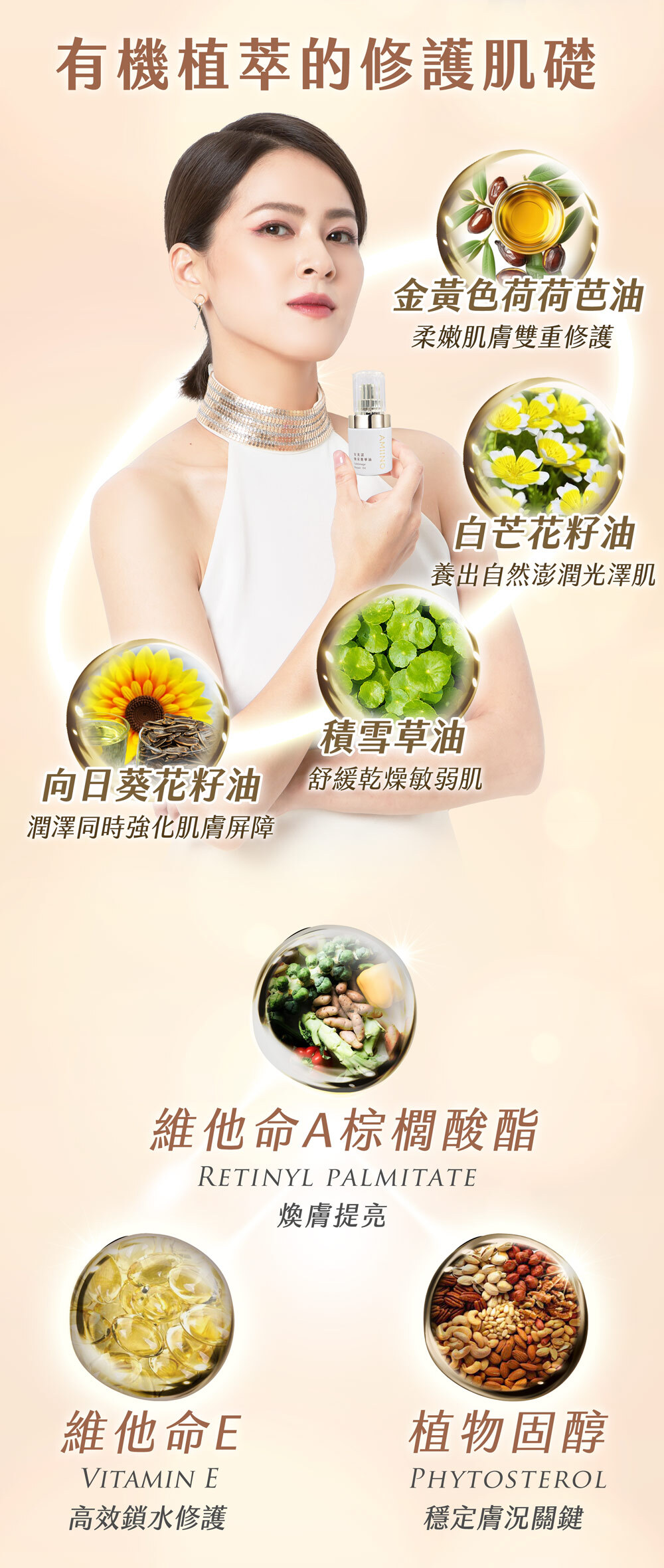 安美諾煥采菁華油的成分介紹圖,主打有機植萃的修護肌礎」。圖片列出多種天然修護成分,包含:金黃色荷荷芭油、白芒花籽油、向日葵花籽油、積雪草油、維他命A棕櫚酸酯、維他命E與植物固醇,並說明其修護、強化屏障與保濕的功效。