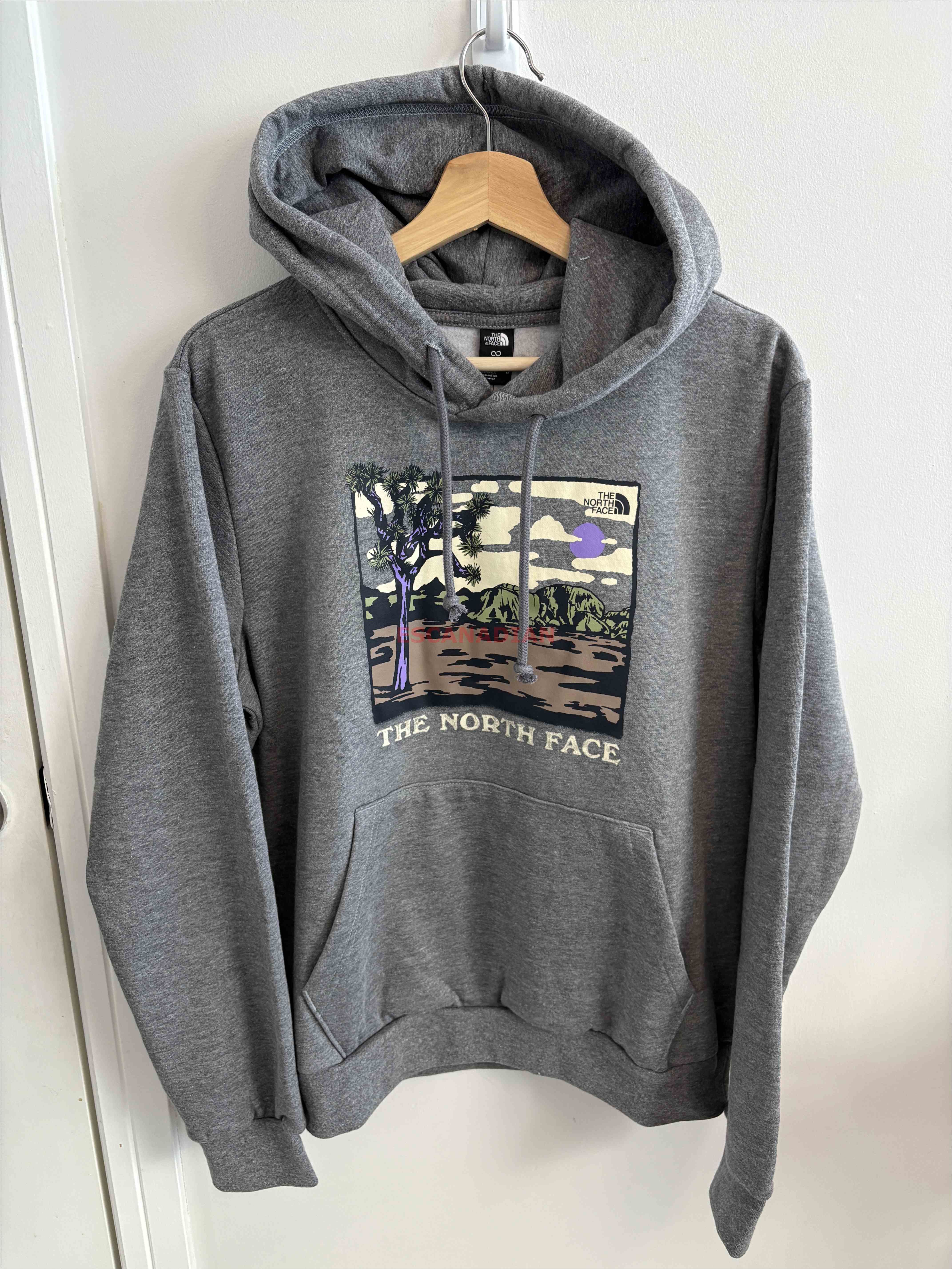 THE NORTH FACE 男大人 沙漠圖案 刷毛 帽TEE