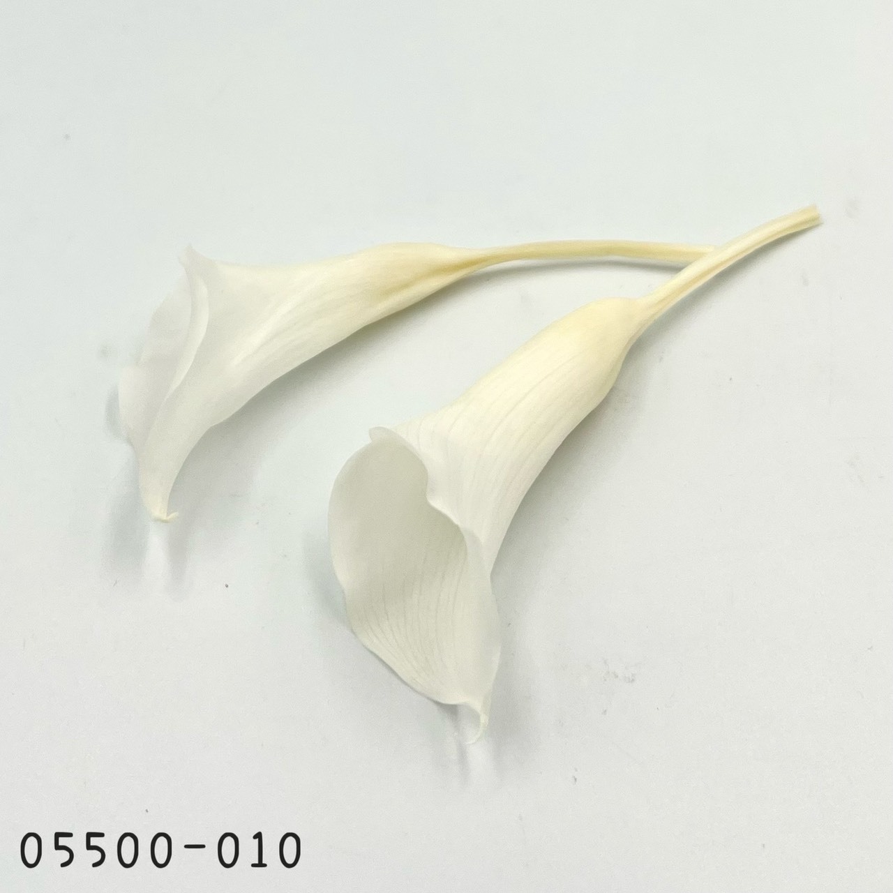 日本不凋海芋 05500-010