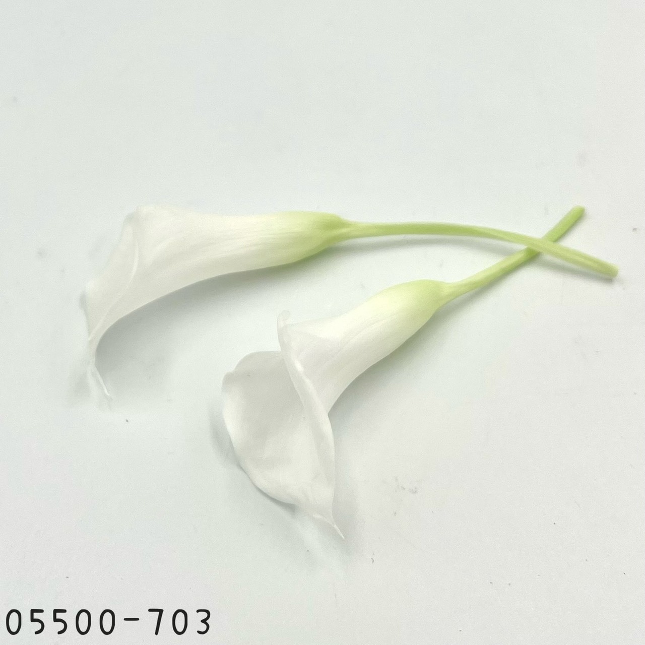 日本不凋海芋 05500-703