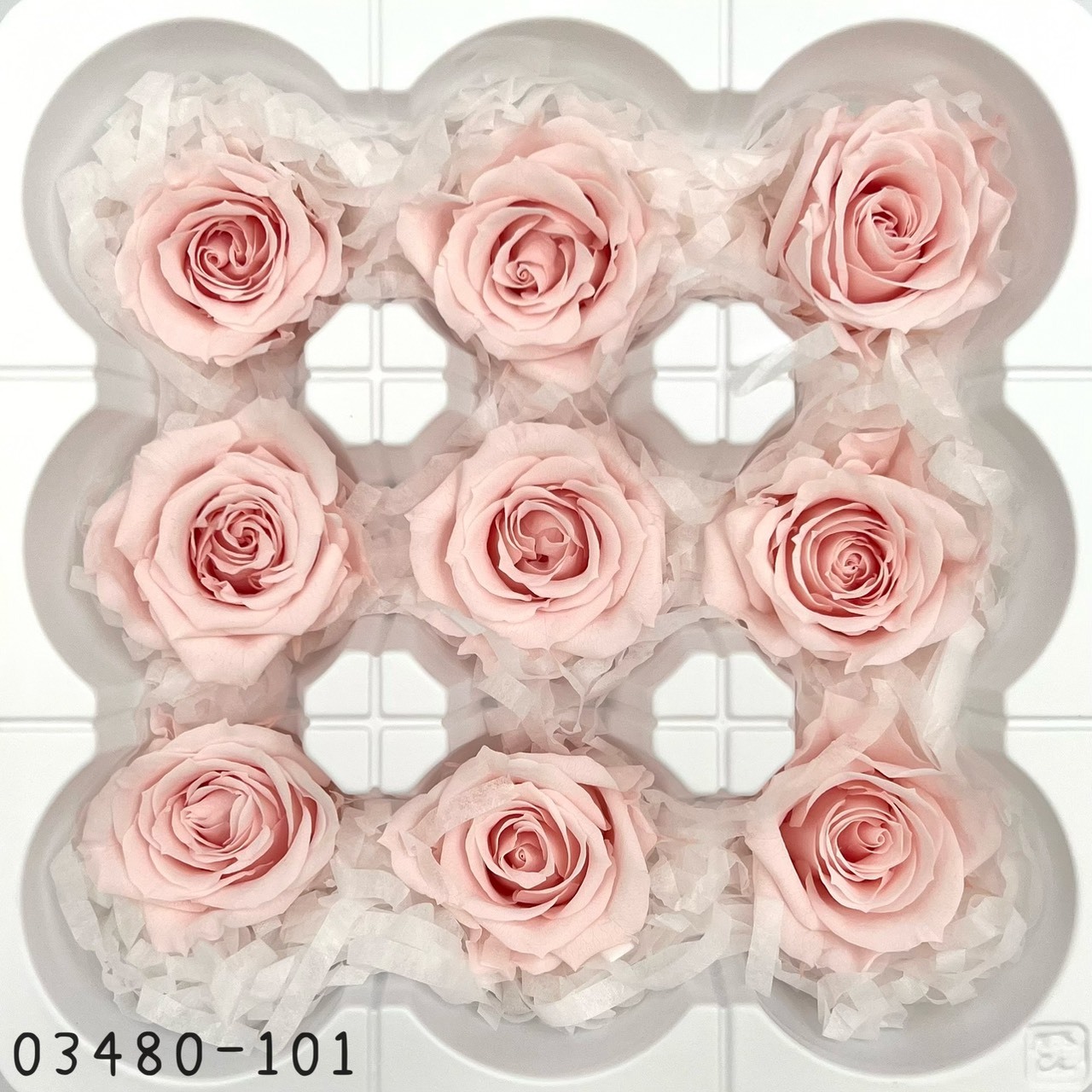 日本不凋中輪玫瑰(9朵) 03480-101