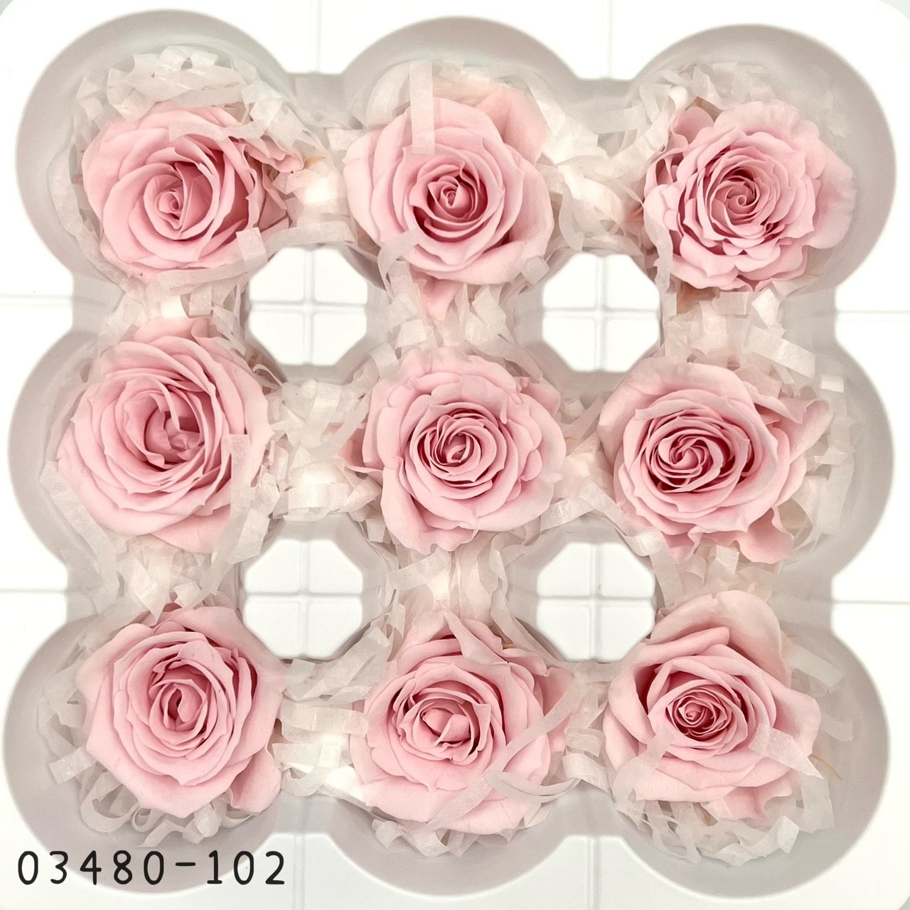 日本不凋中輪玫瑰(9朵) 03480-102