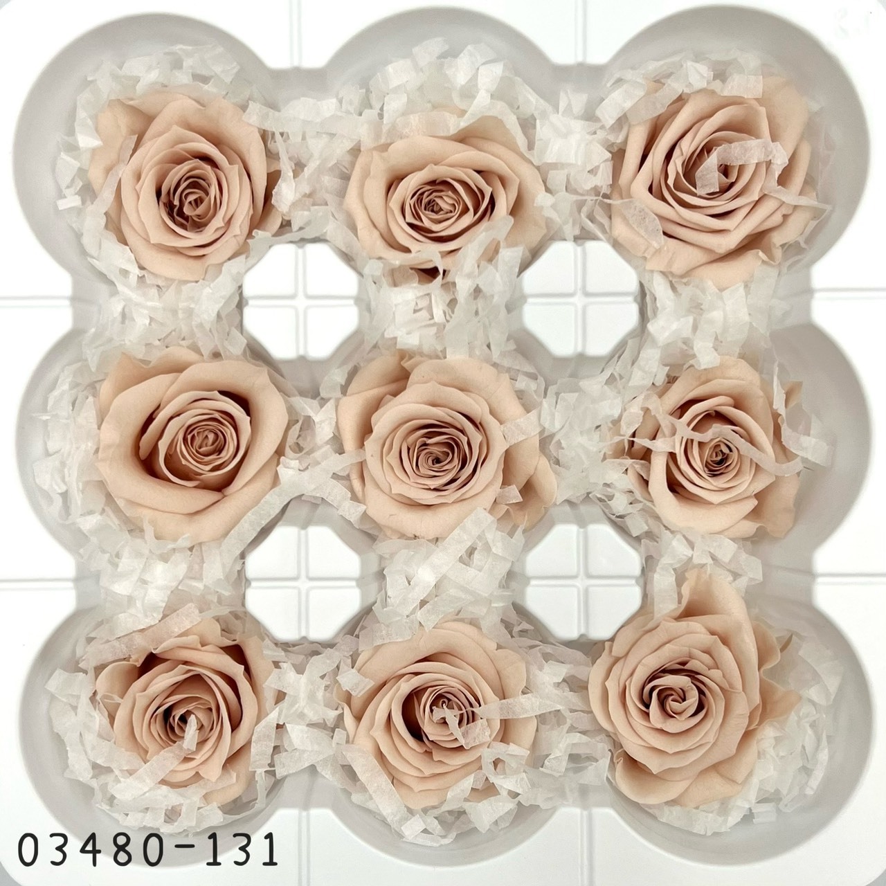 日本不凋中輪玫瑰(9朵) 03480-131