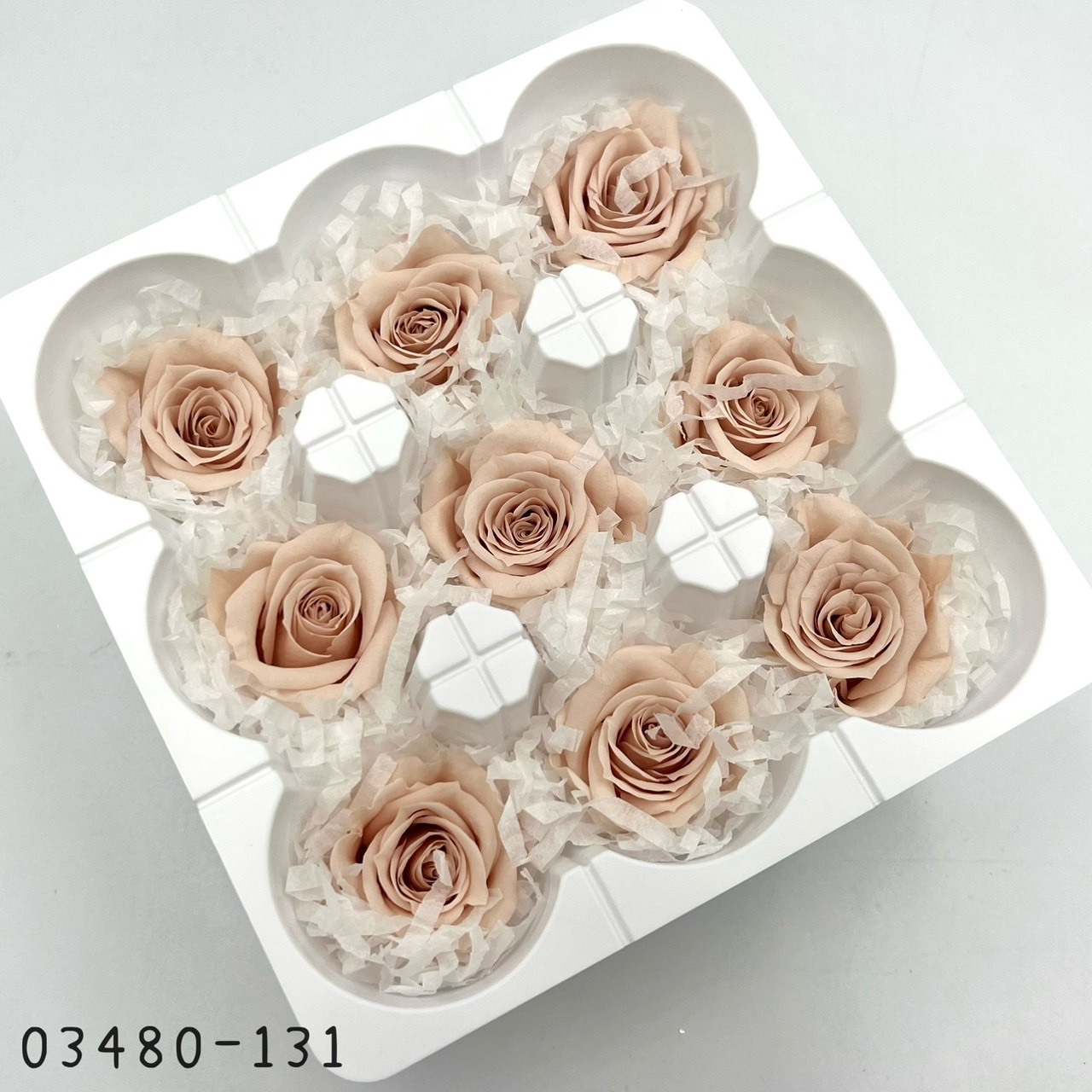 日本不凋中輪玫瑰(9朵) 03480-131