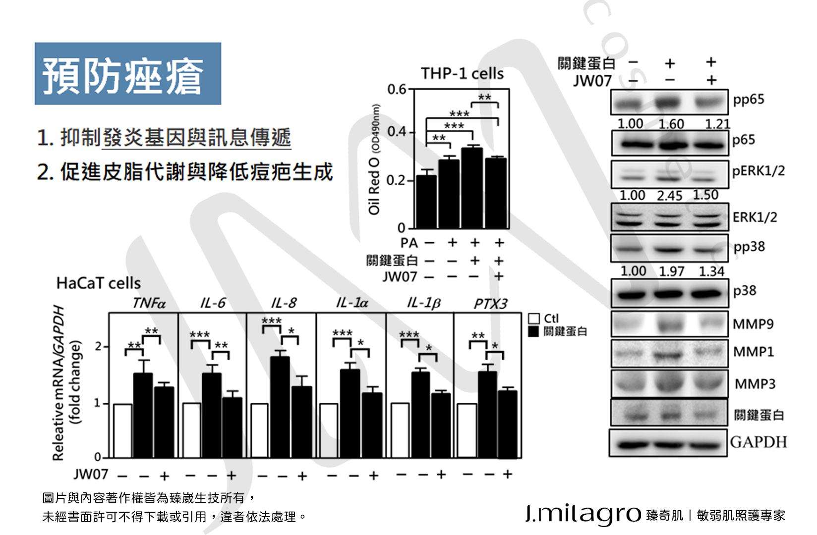 #Jmilagro#臻奇肌#敏弱肌照護專家#臻崴生技#奇肌胜肽#Skin care#奇蹟#發炎#實驗
