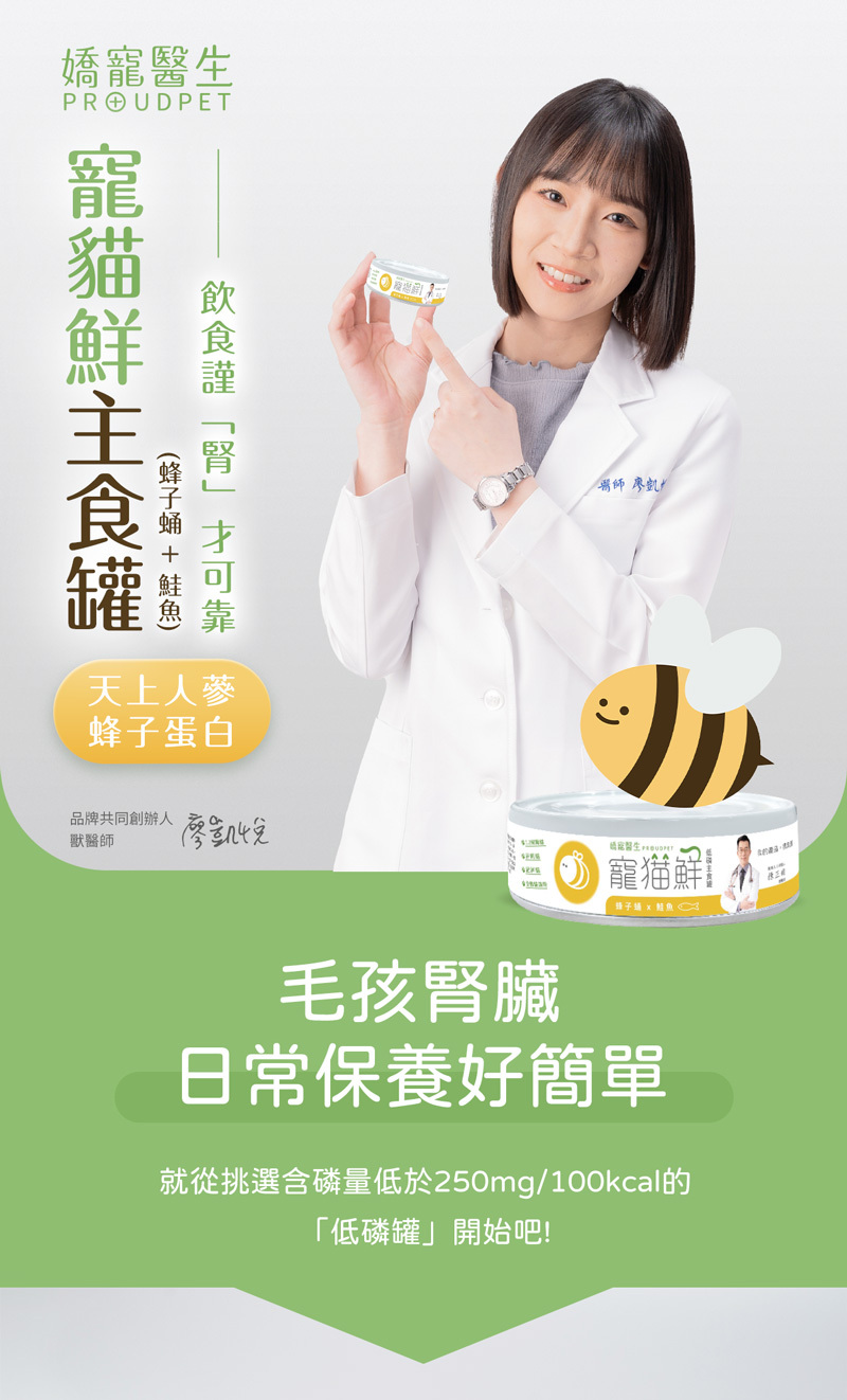 寵貓鮮主食罐 蜂子蛹鮭魚口味 是毛孩腎臟保養的好選擇 低磷護腎