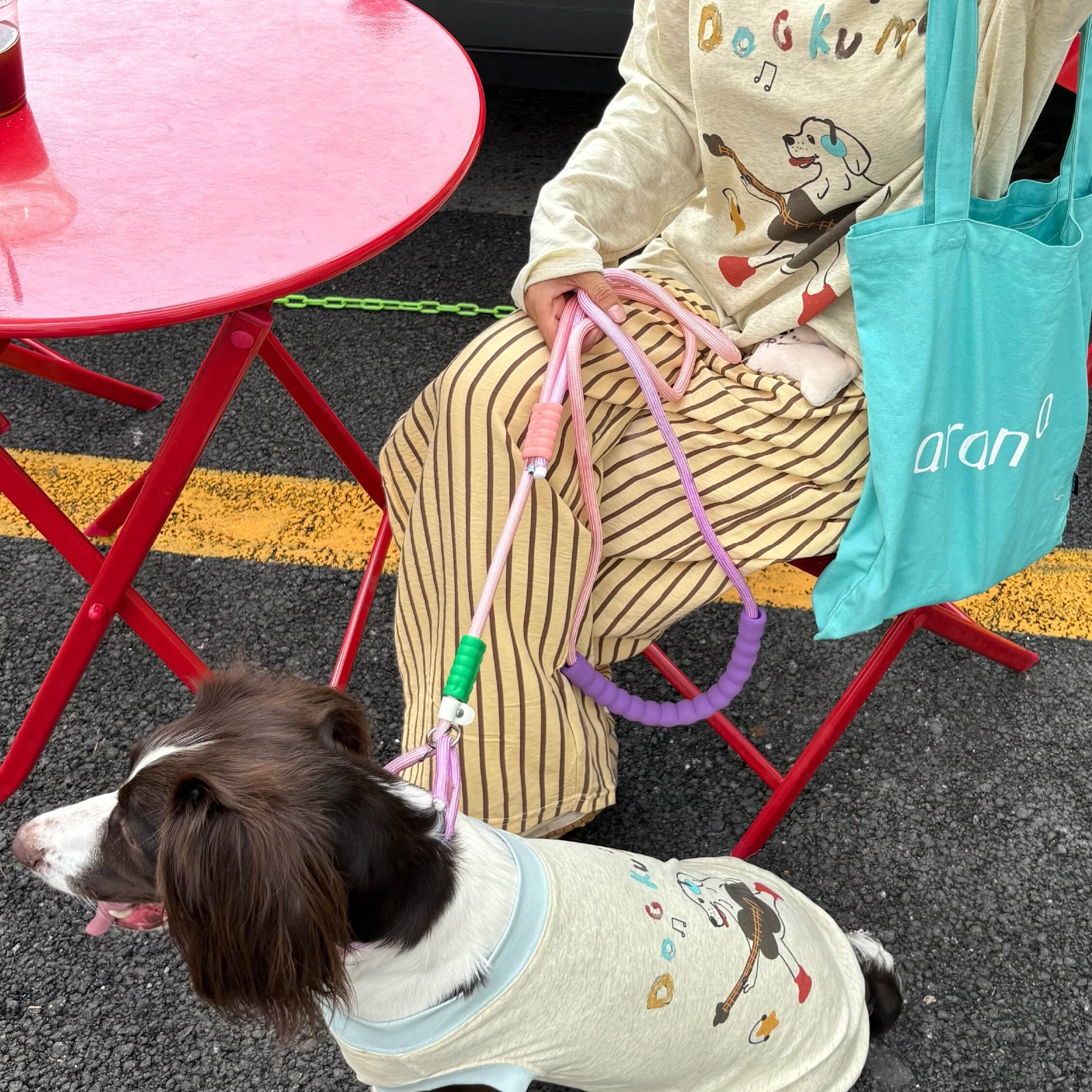 DOGKUMA - 吉他小狗夏天薄罩衫（寵物款）