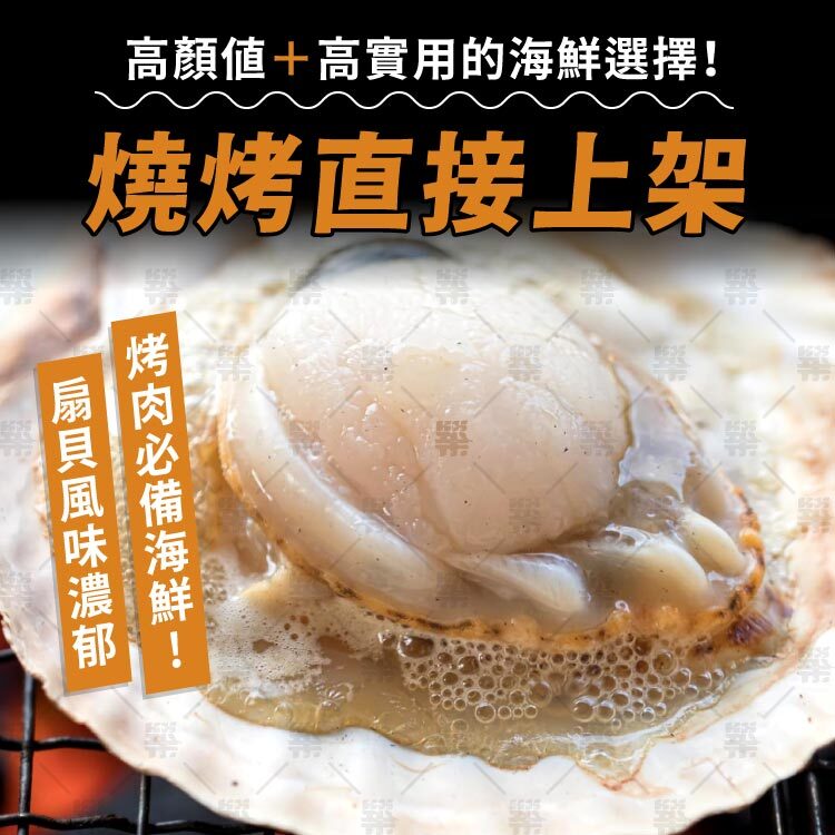 燒烤必點海鮮霸主－凍半殼扇貝