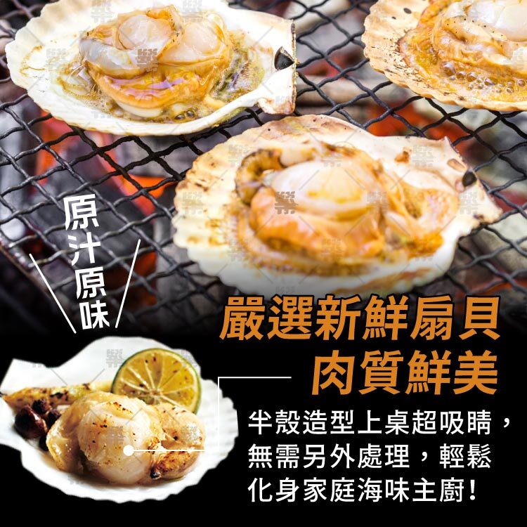 完整保留貝柱與貝殼上桌超吸睛，無需另外處理