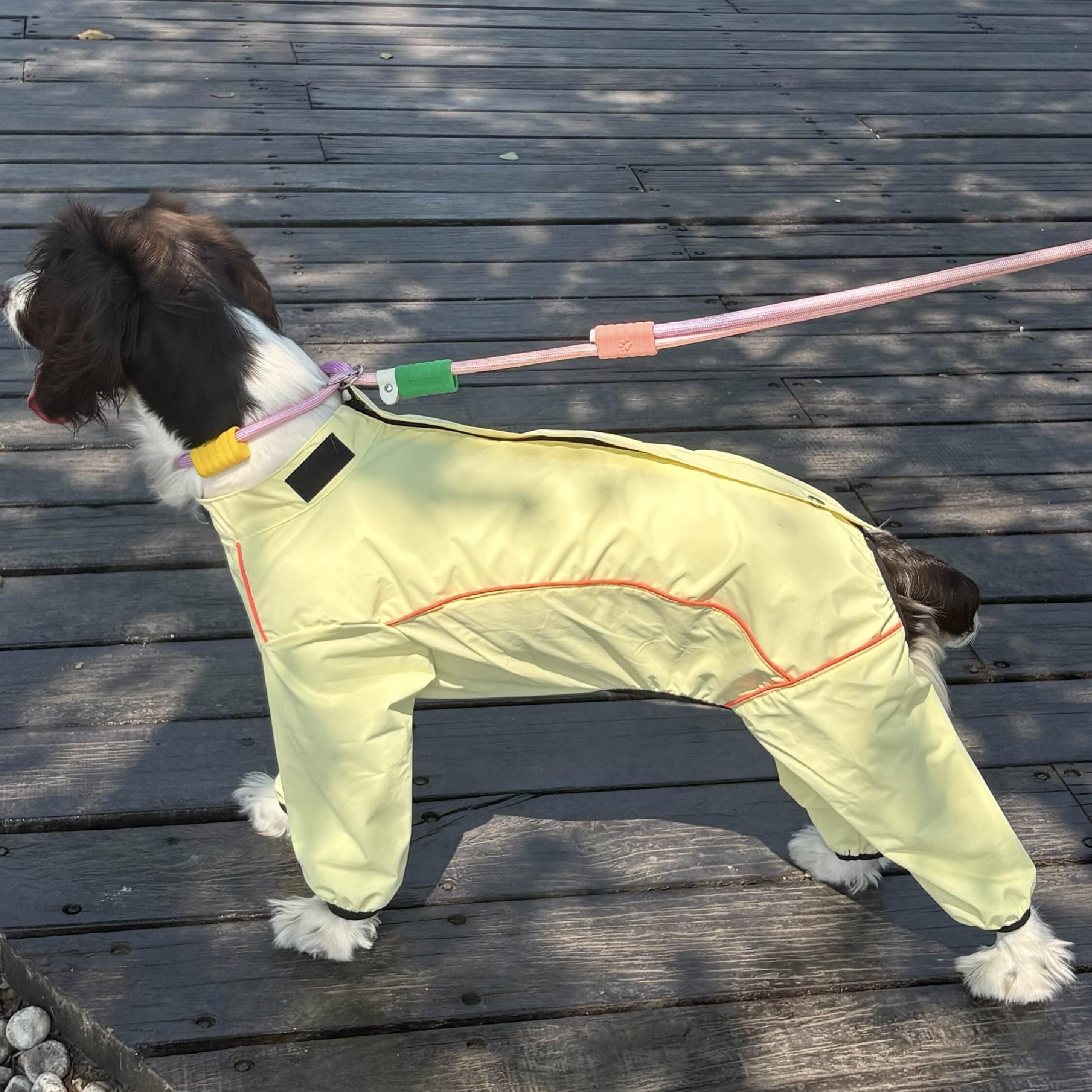 DOGKUMA - 狗狗四腳防水雨衣 - 橘黃色