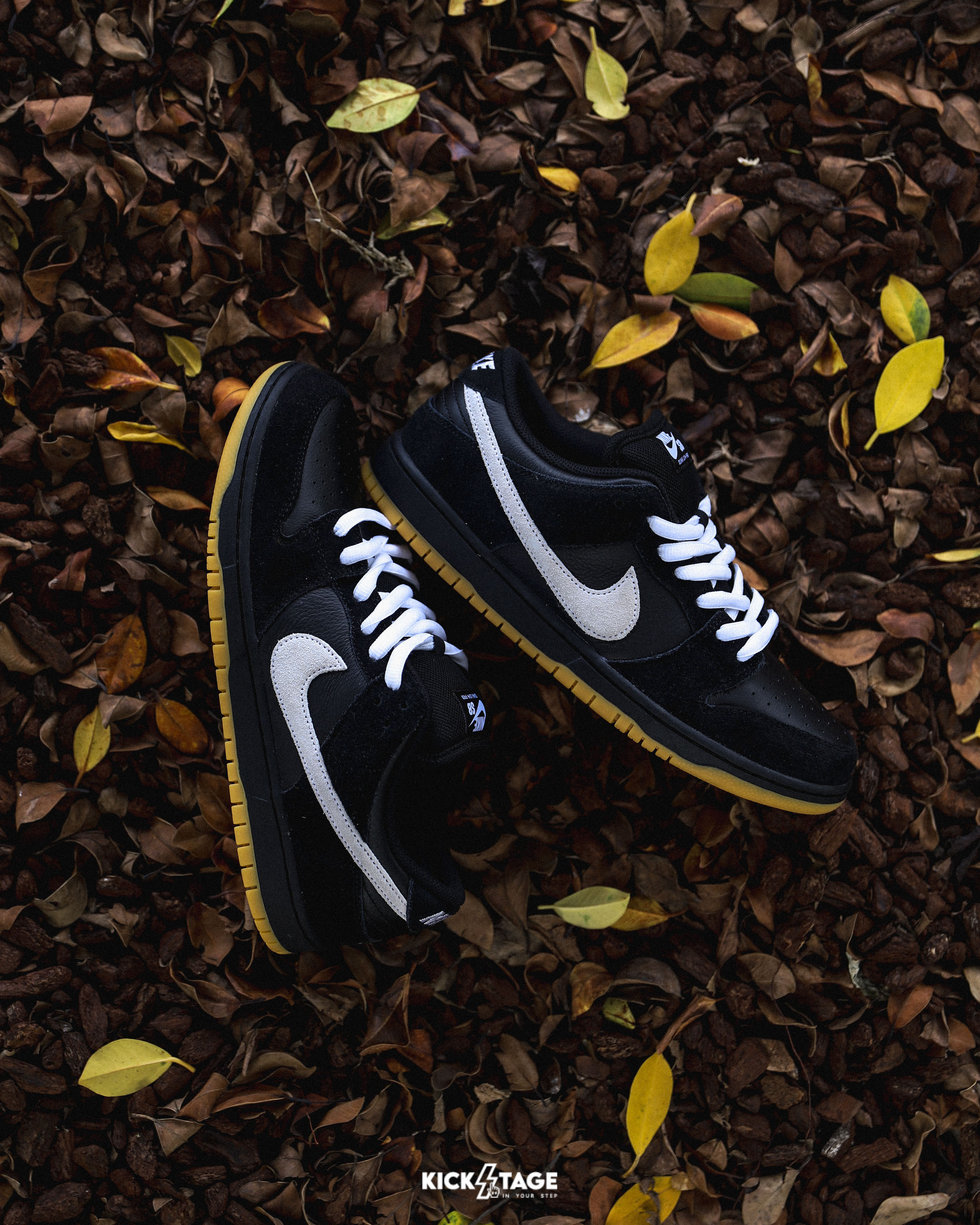 男鞋 NIKE SB DUNK LOW PRO  黑膠底 黑白 復古滑板鞋【HF3704-003】