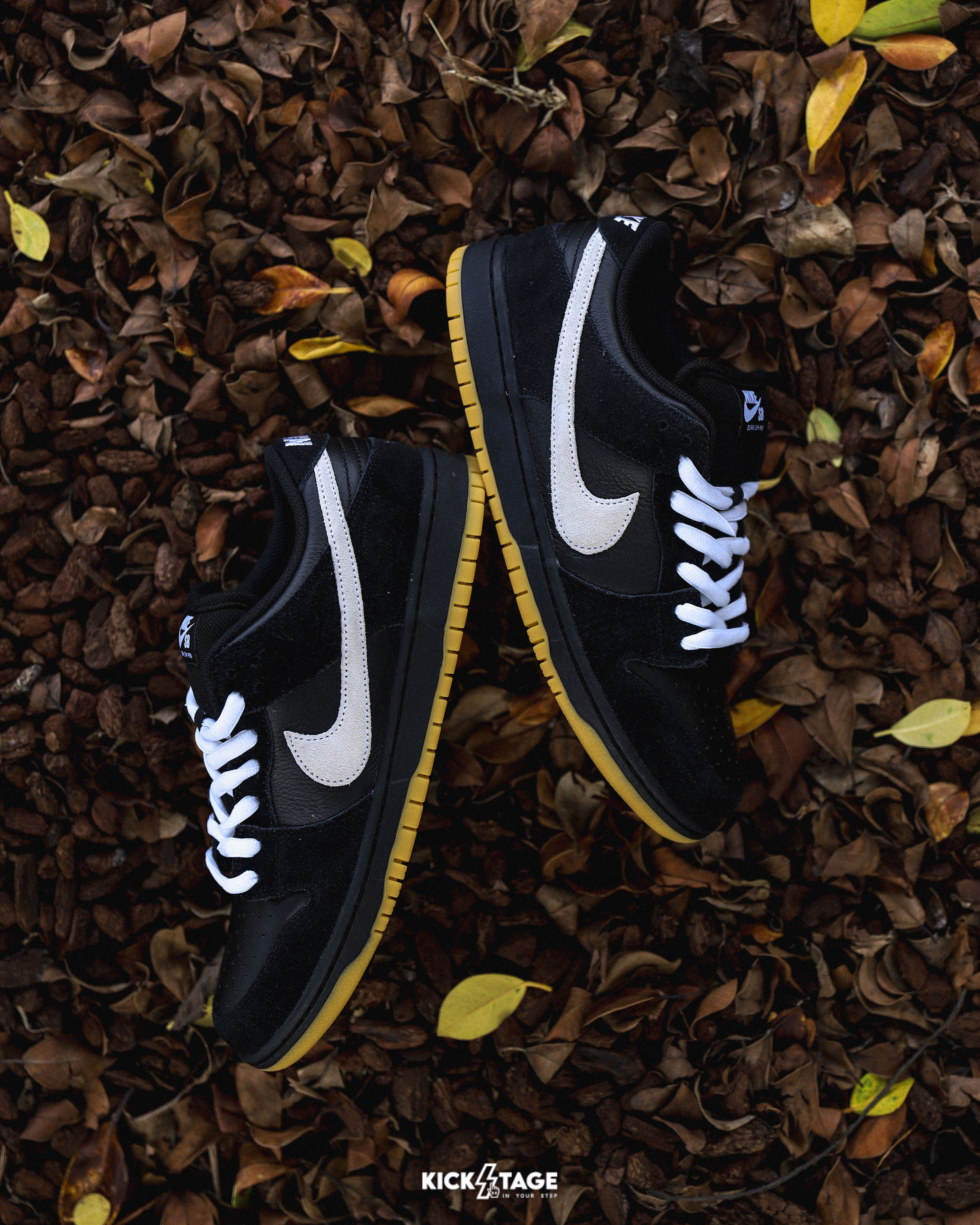 男鞋 NIKE SB DUNK LOW PRO  黑膠底 黑白 復古滑板鞋【HF3704-003】