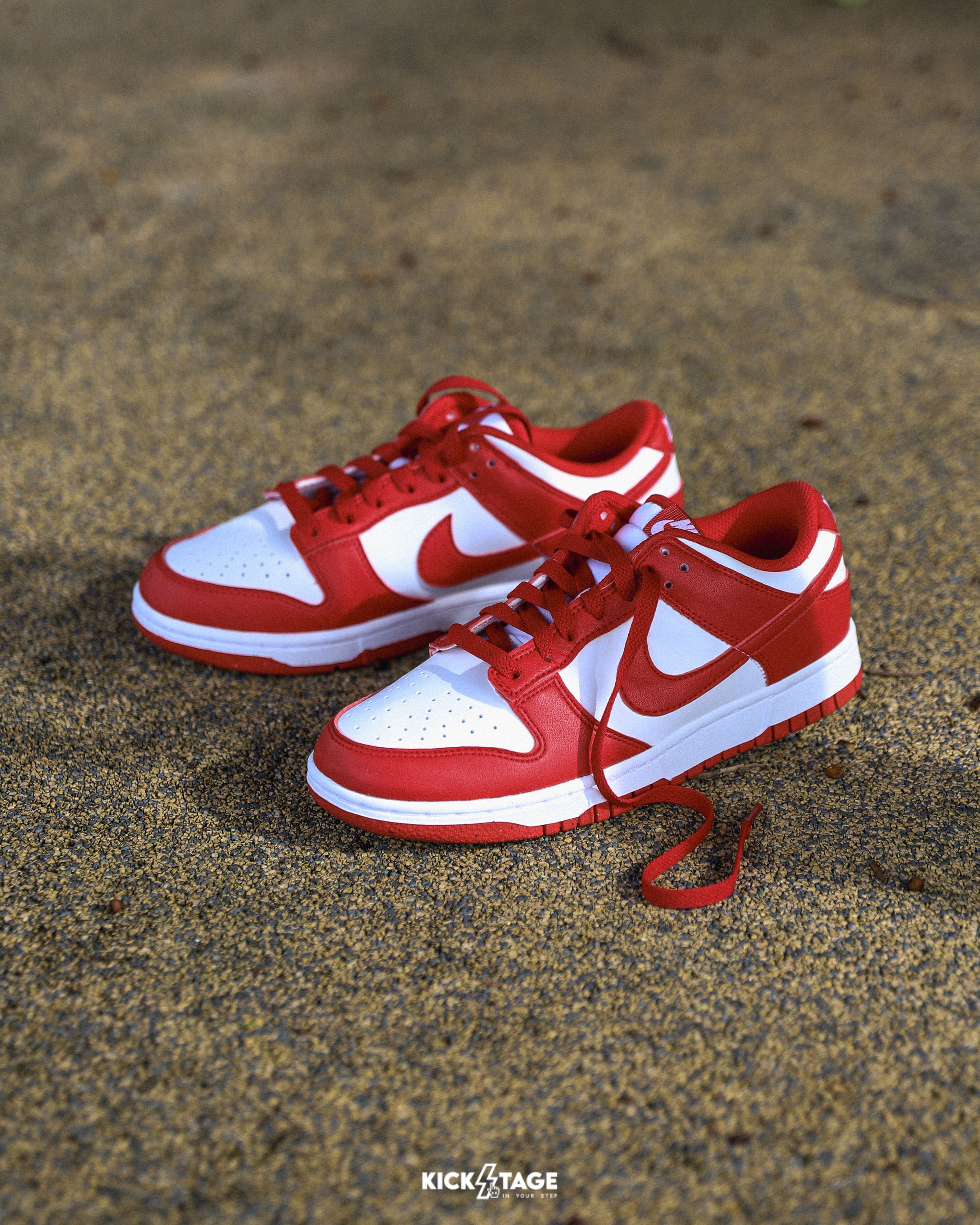 女鞋 NIKE DUNK LOW NEXT NATURE 紅白 環保材質 復古 運動 休閒鞋【DD1873-116】