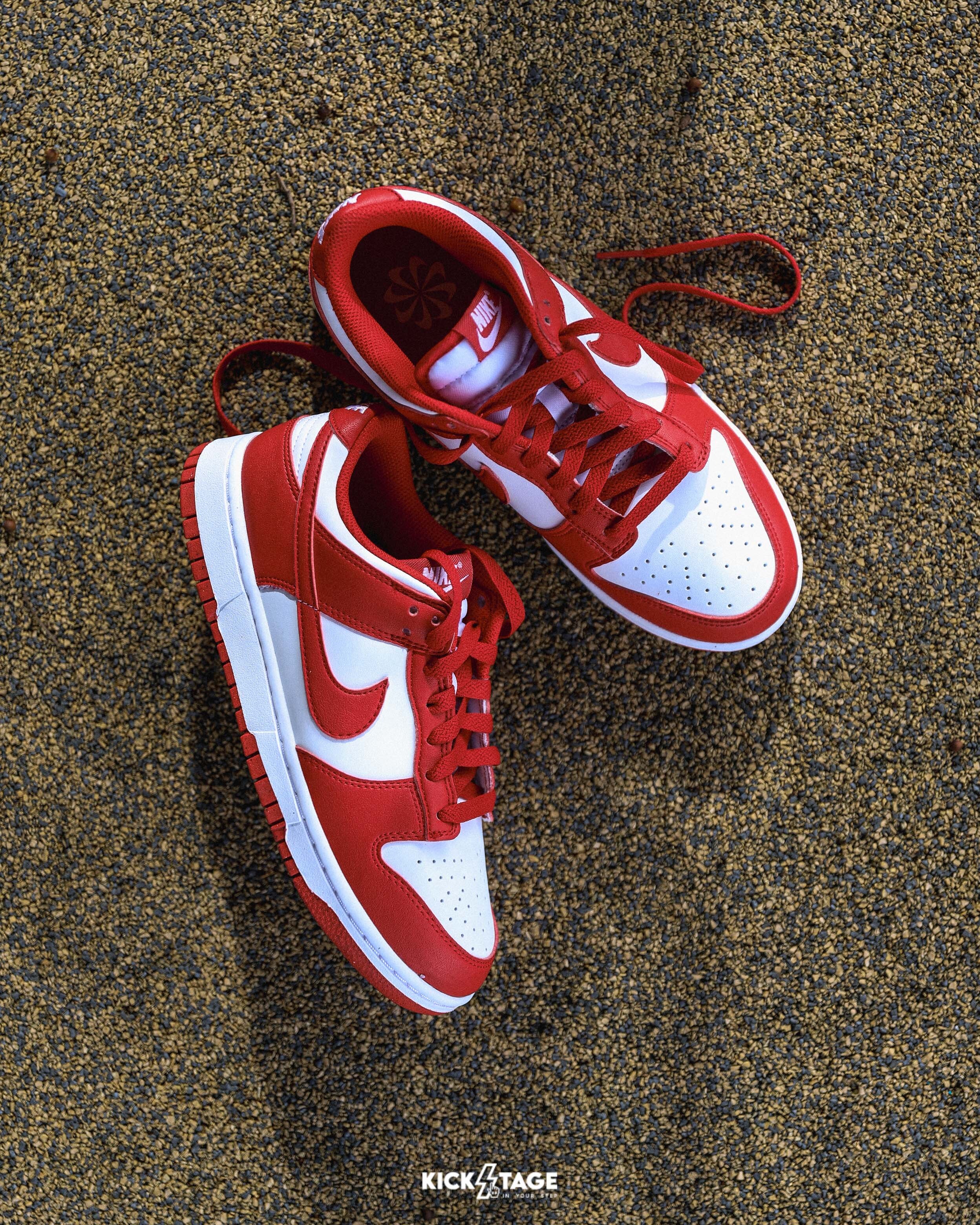 女鞋 NIKE DUNK LOW NEXT NATURE 紅白 環保材質 復古 運動 休閒鞋【DD1873-116】