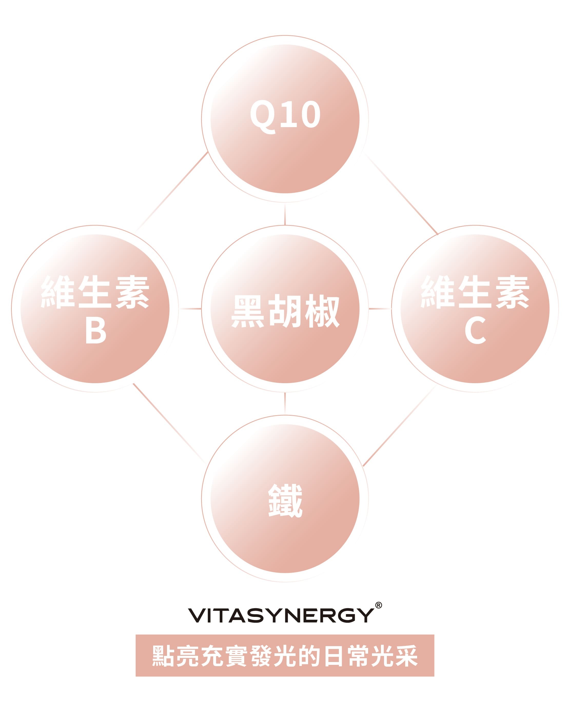 【美妍專科】天然酵母維生素B群