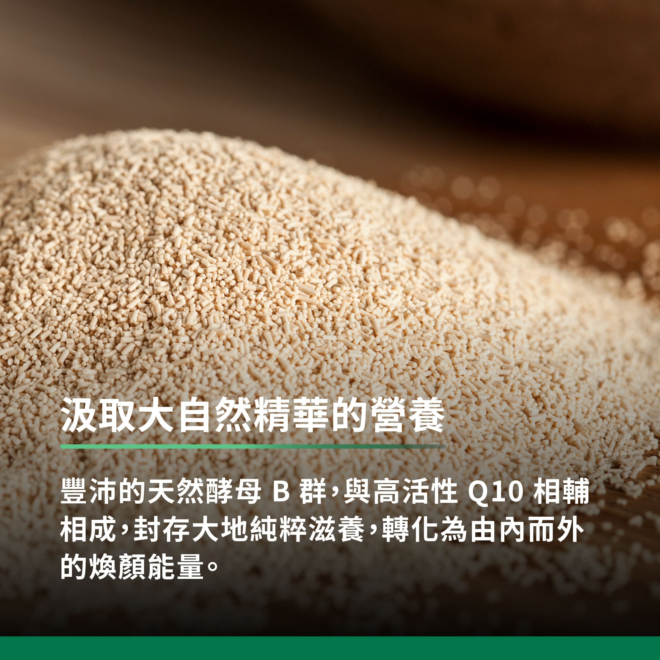 汲取大自然精華的營養