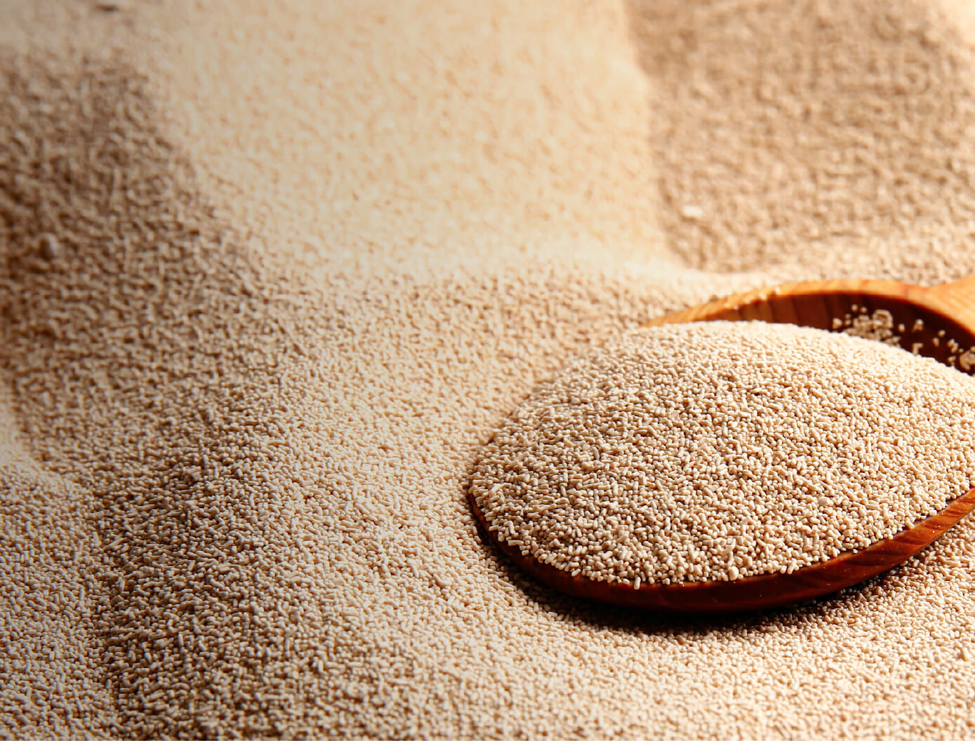 天然酵母維生素 B 群