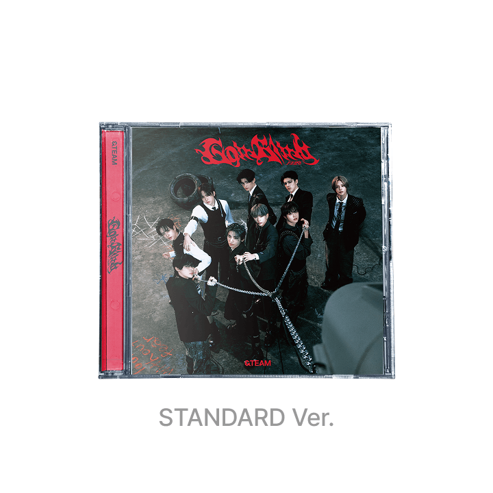 &team Go i Blind standard ver