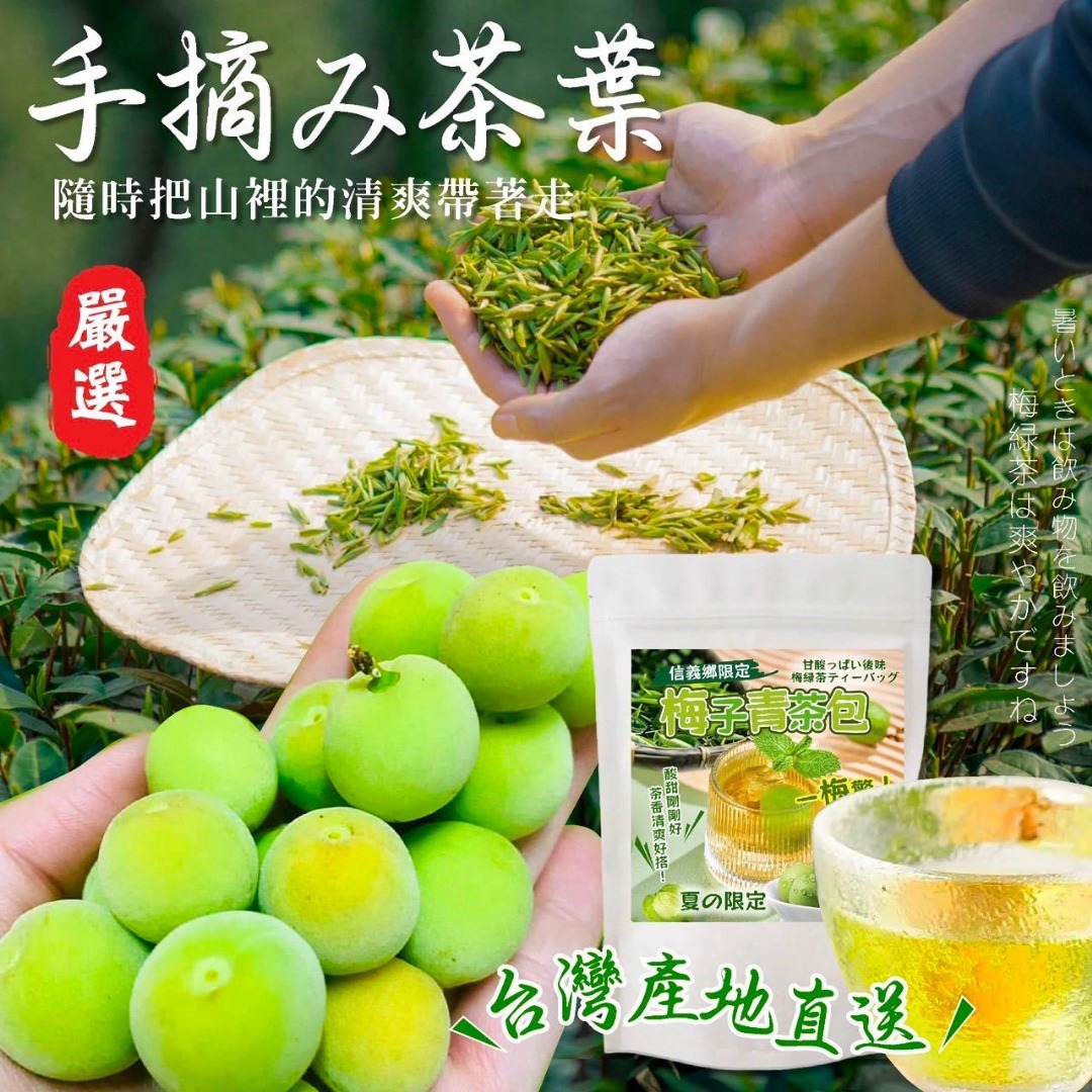 台灣信義鄉梅子青茶包