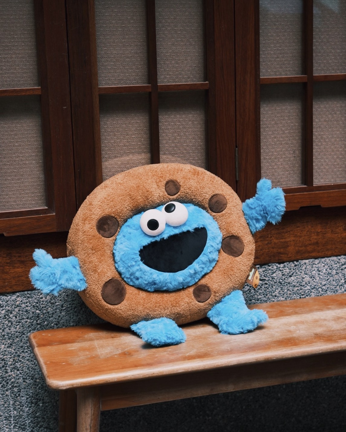 預購 POPSUNDAY 芝麻街 餅乾怪抱枕 | 正版授權 公仔 玩具 潮玩 ELMO 頸枕