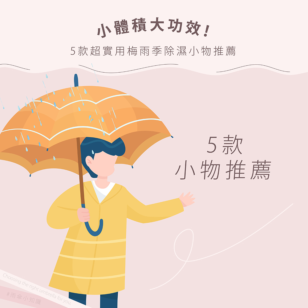 小體積大功效！5款超實用梅雨季除濕小物推薦