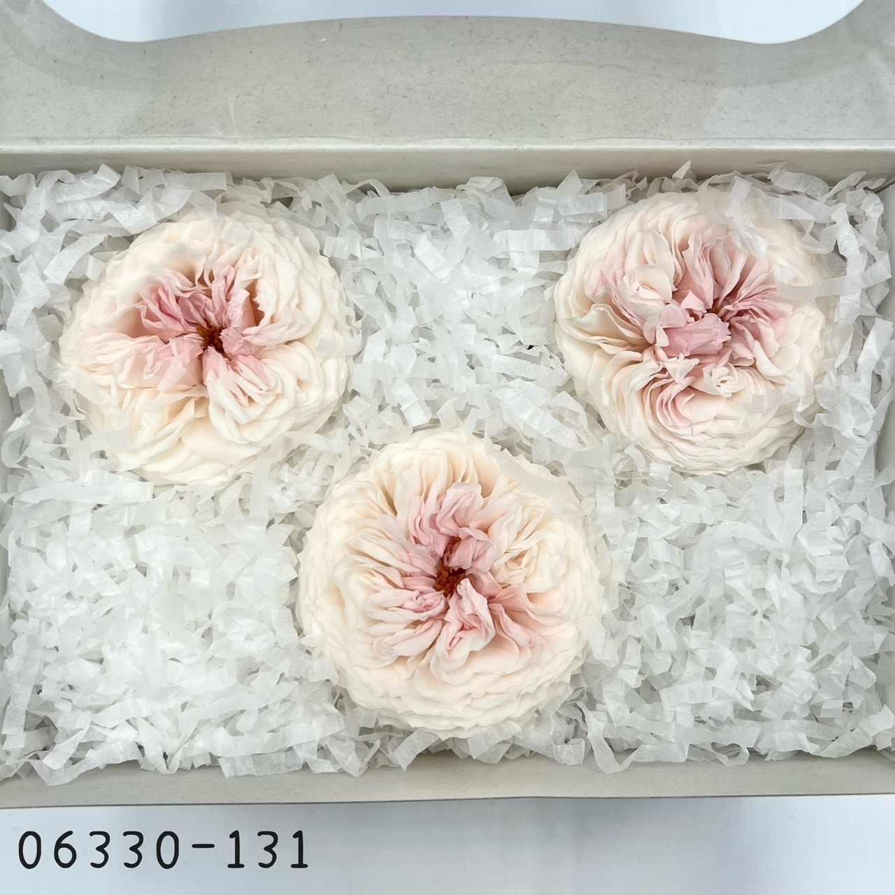 日本不凋薔薇玫瑰(大) 06330-131