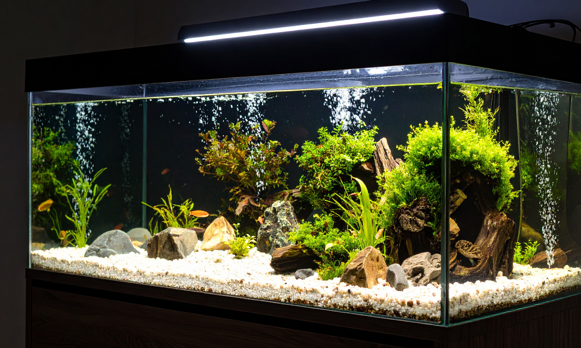 一台好的水族氧氣機應該要能夠24小時不間斷運作，畢竟魚兒們需要持續的氧氣供應