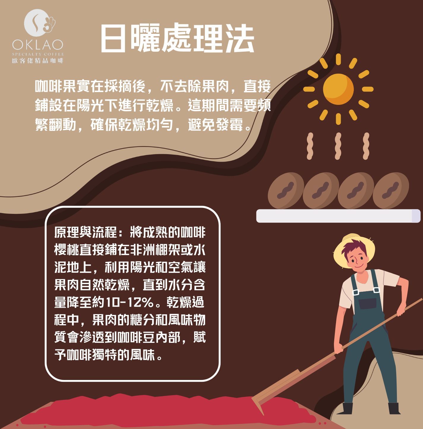 咖啡處理法 日曬處理法 水洗處理法 半水洗法 蜜處理法 厭氧發酵 咖啡豆 歐客佬咖啡 精品咖啡 咖啡禮盒