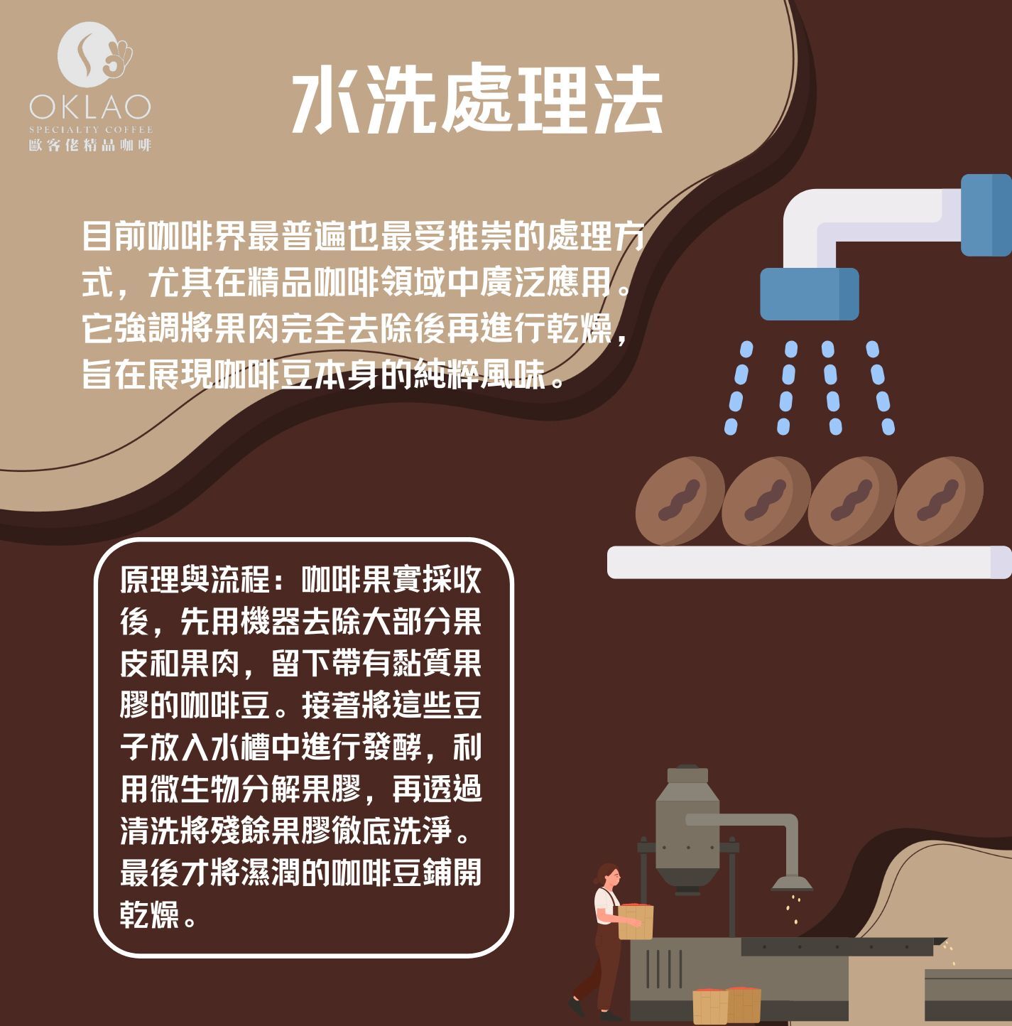 咖啡處理法 日曬處理法 水洗處理法 半水洗法 蜜處理法 厭氧發酵 咖啡豆 歐客佬咖啡 精品咖啡 咖啡禮盒