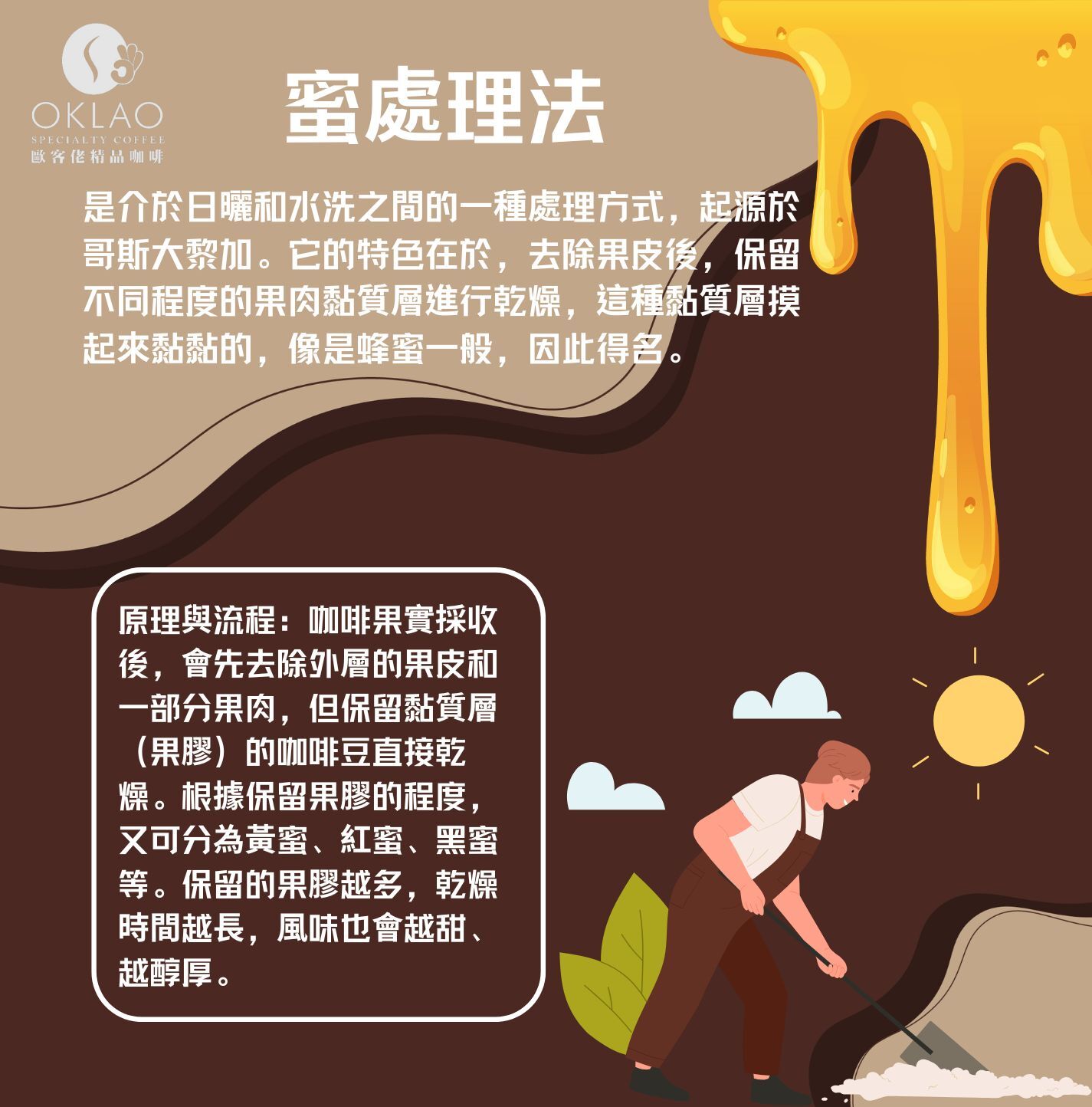 咖啡處理法 日曬處理法 水洗處理法 半水洗法 蜜處理法 厭氧發酵 咖啡豆 歐客佬咖啡 精品咖啡 咖啡禮盒