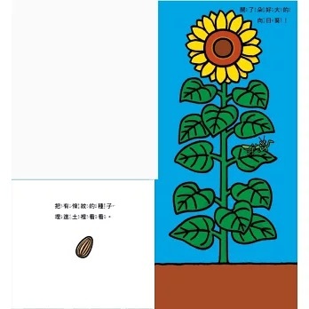 花開了！(SDG 4 優質教育 訓練手眼協調的翻翻遊戲書)