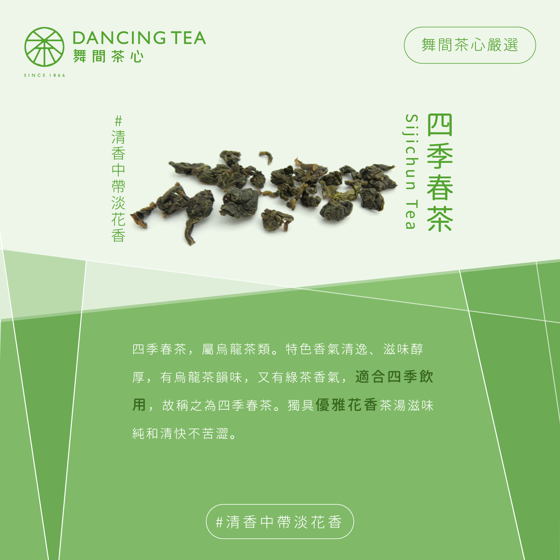 四季春茶 原片茶葉/小罐裝50g