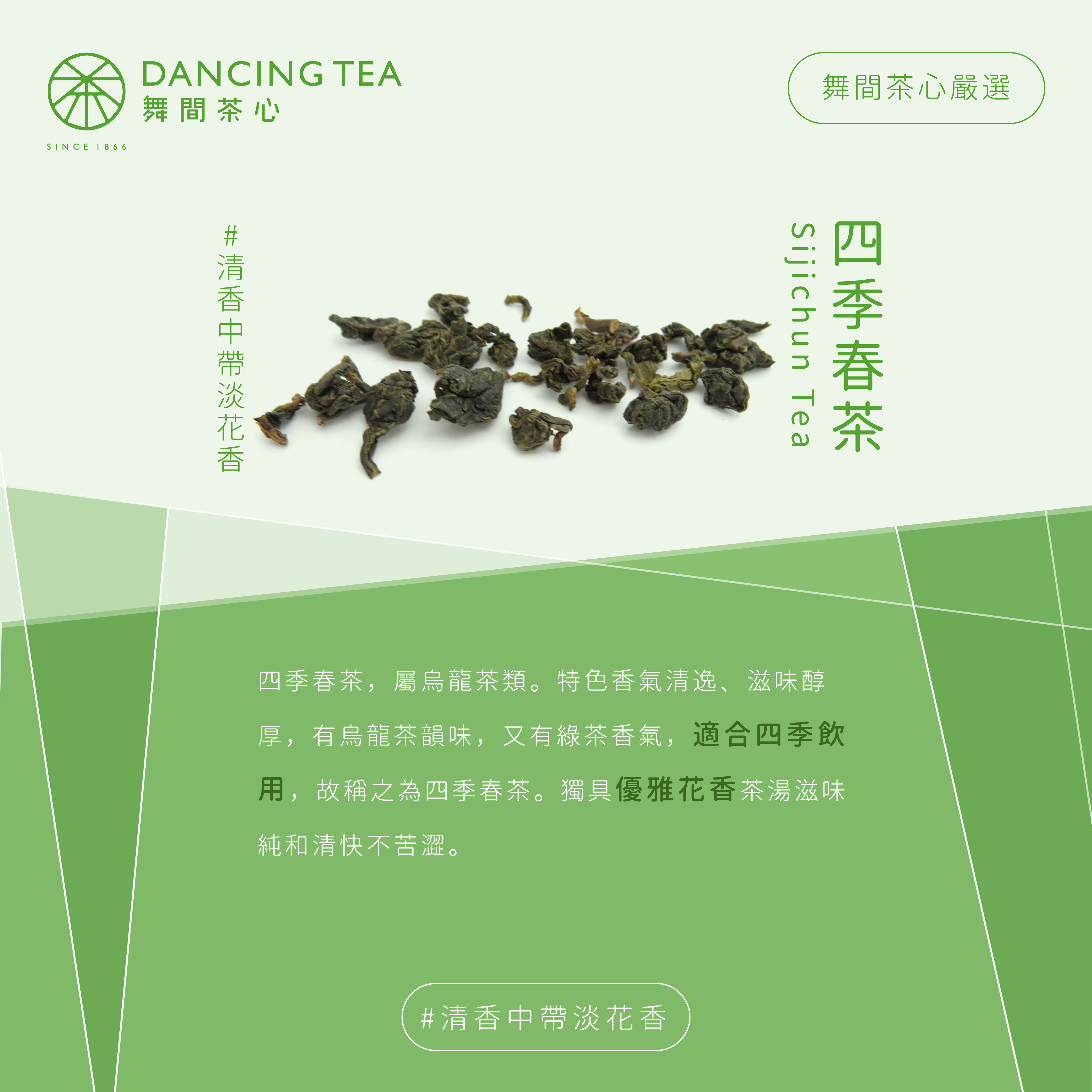 四季春茶 原片茶葉/中罐裝100g