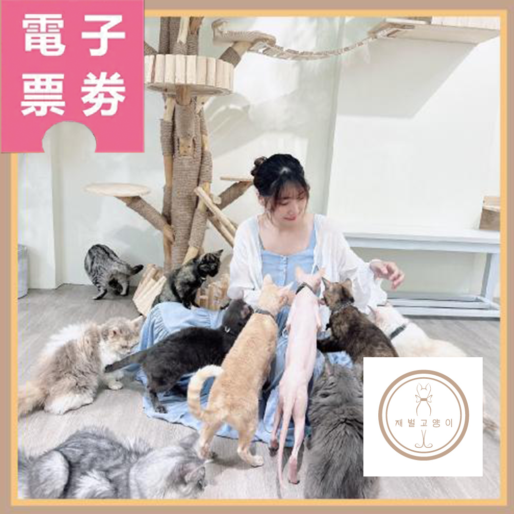 【電子票劵】台南【財閥家的公子貓】擼貓咖啡廳A套餐體驗券Ⓜ