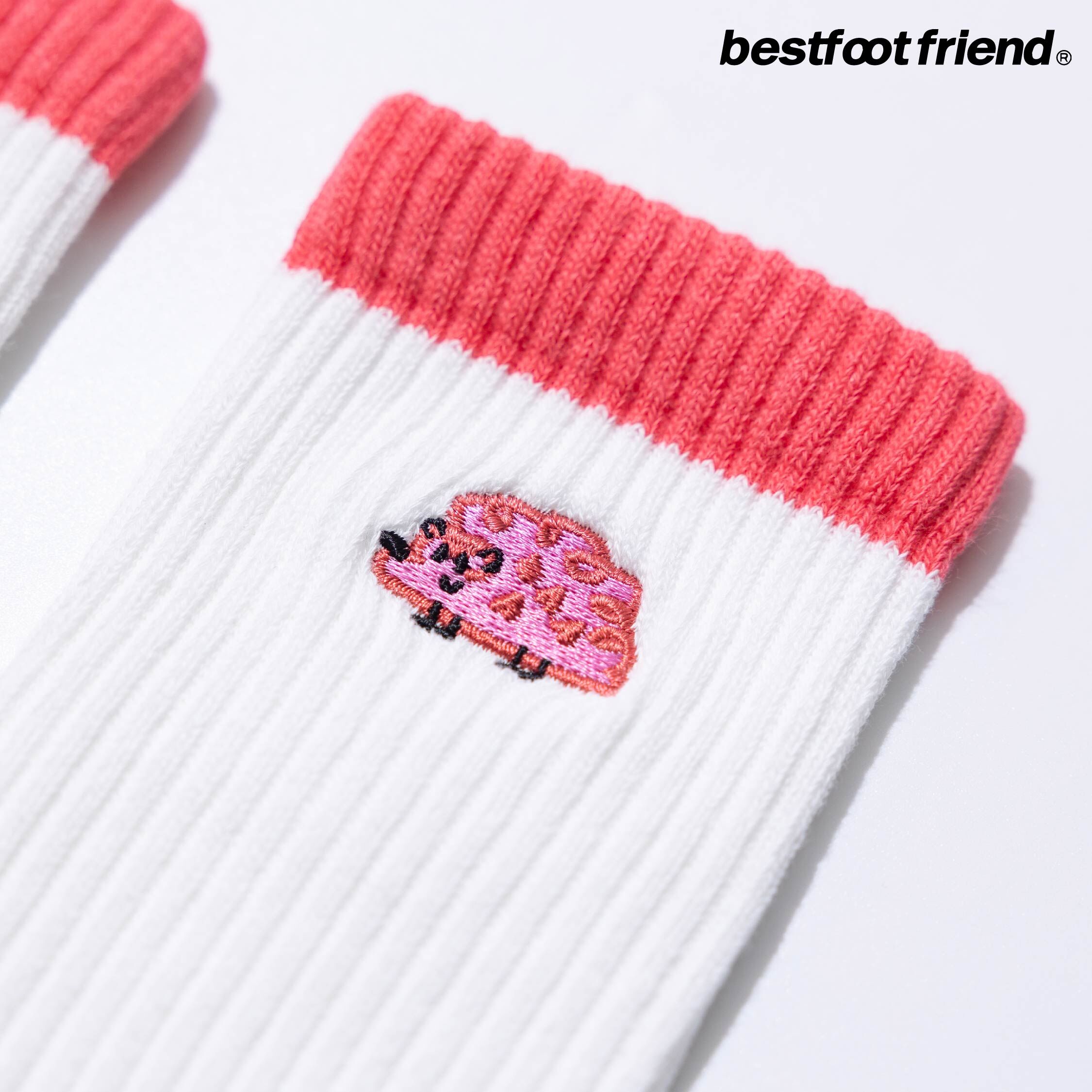 Best Foot Friend Hedgehog Socks