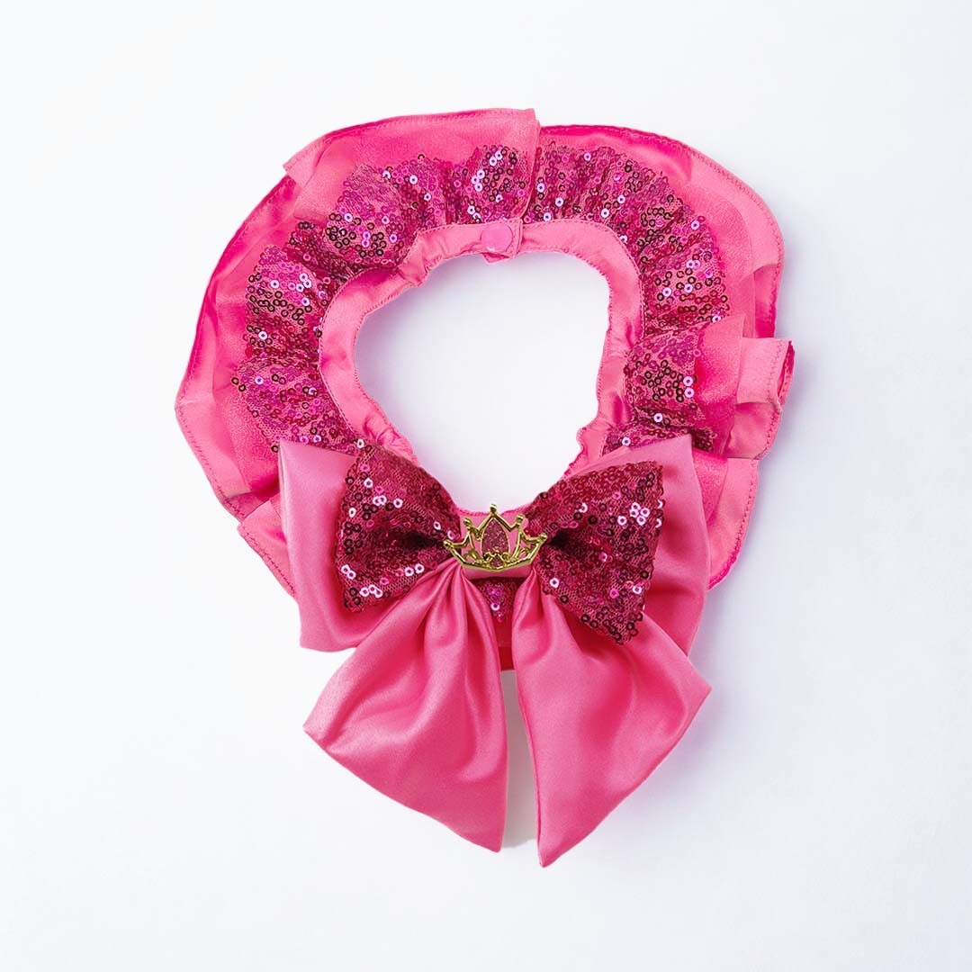 Aurora Premium Disney Collar for Pets