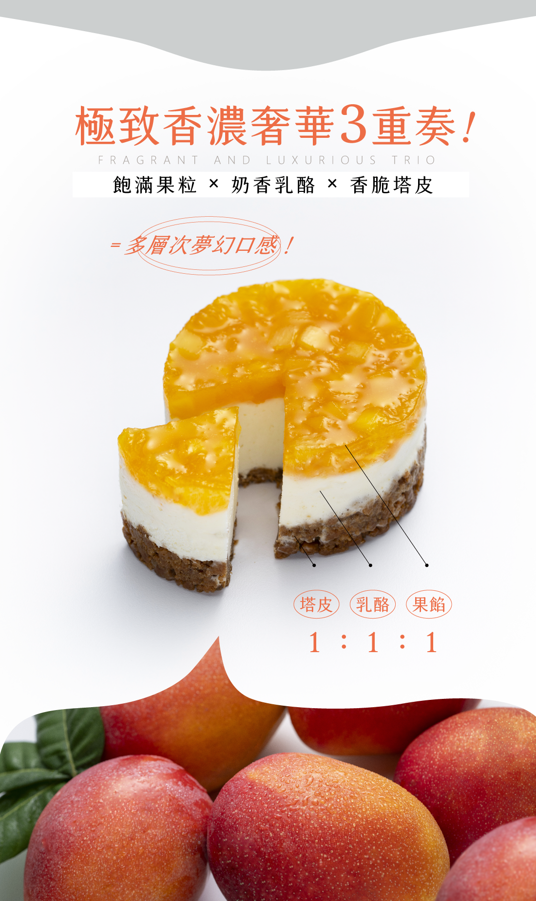 台北SOGO美食快閃,台北快閃甜點活動,乳酪蛋糕推薦,乳酪塔推薦,早鳥預購,台中十大伴手禮,水母吃乳酪