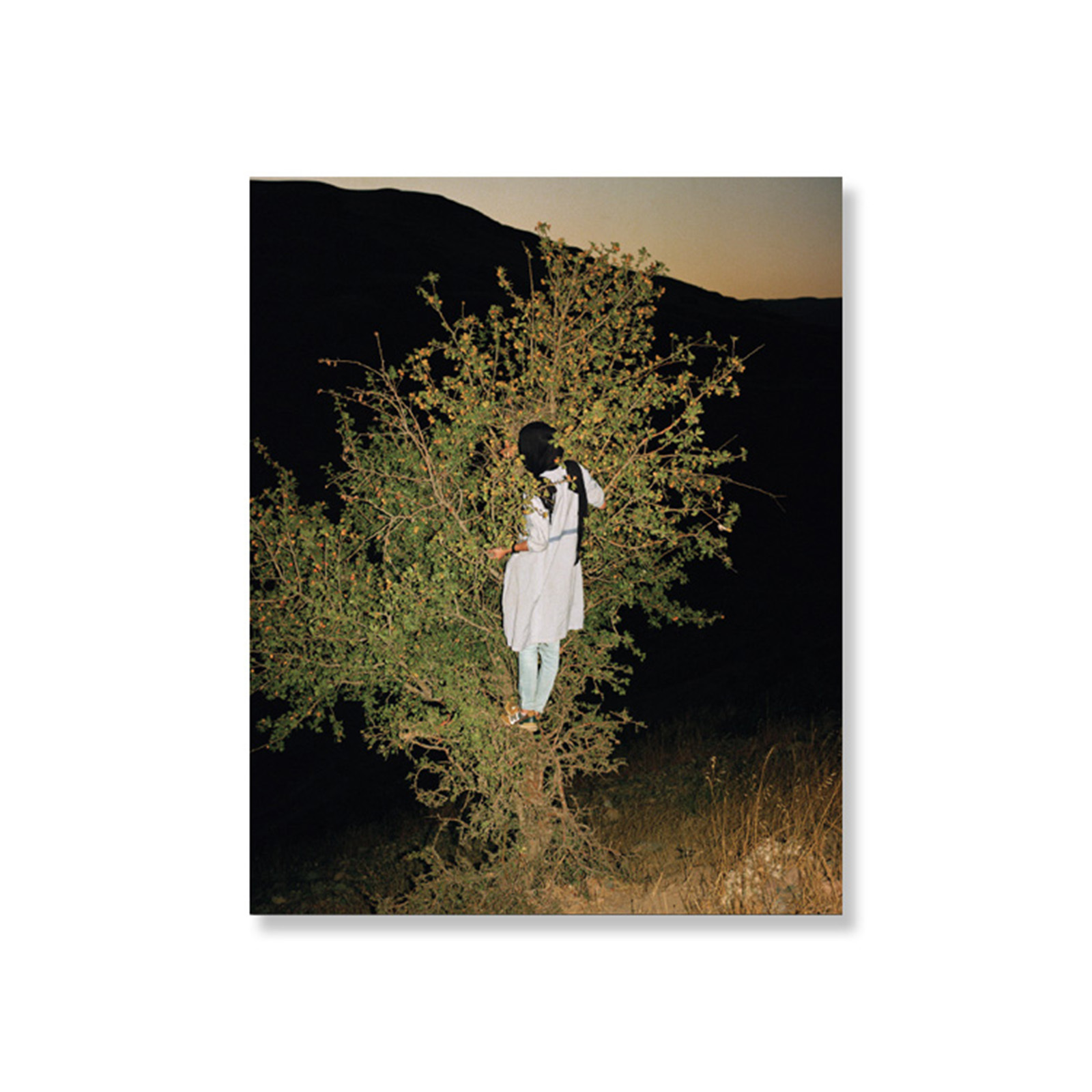 Sarah Pannell - Tabriz To Shiraz