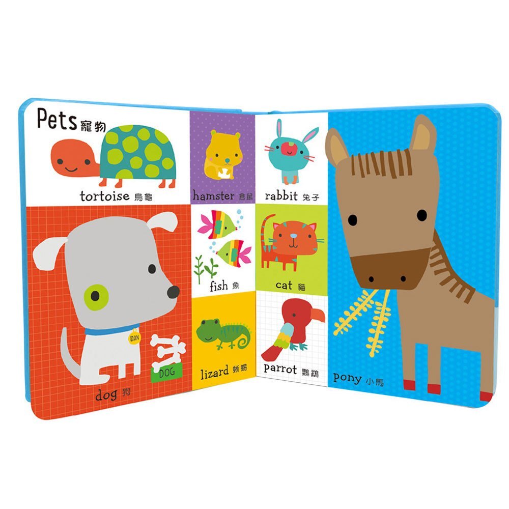 100 Animal words【動物朋友中英單字書】