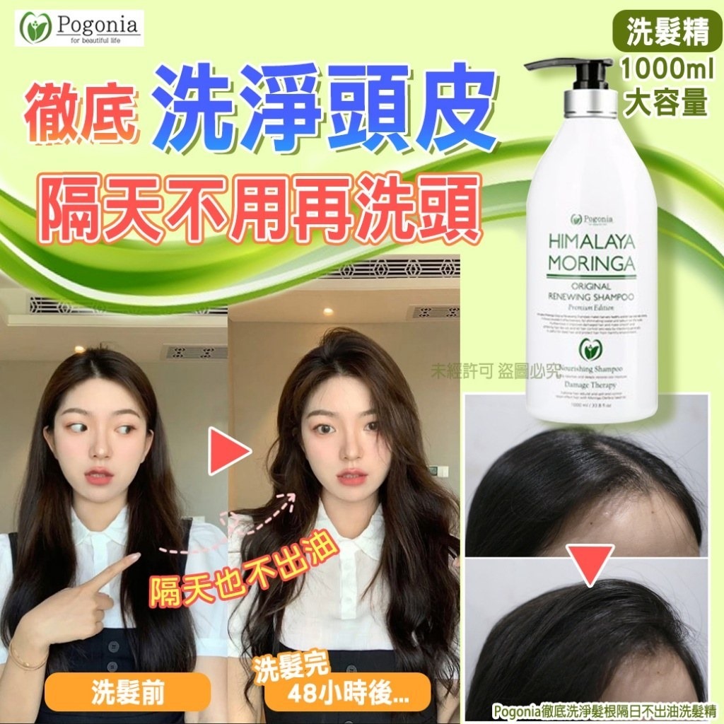 韓國 Pogonia 徹底洗淨髮根隔日不出油洗髮精