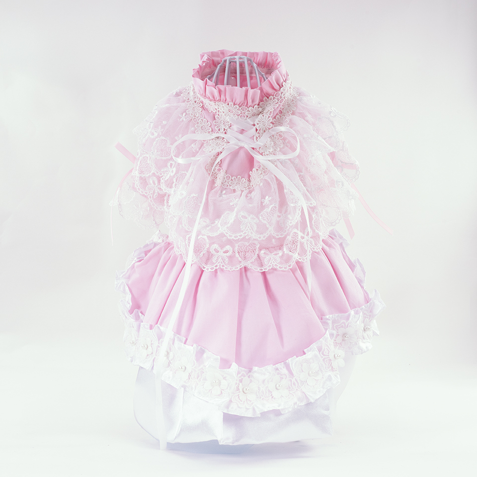 Pink Long Sleeve Lace Dress (excluded the hat)