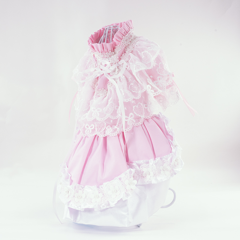 Pink Long Sleeve Lace Dress