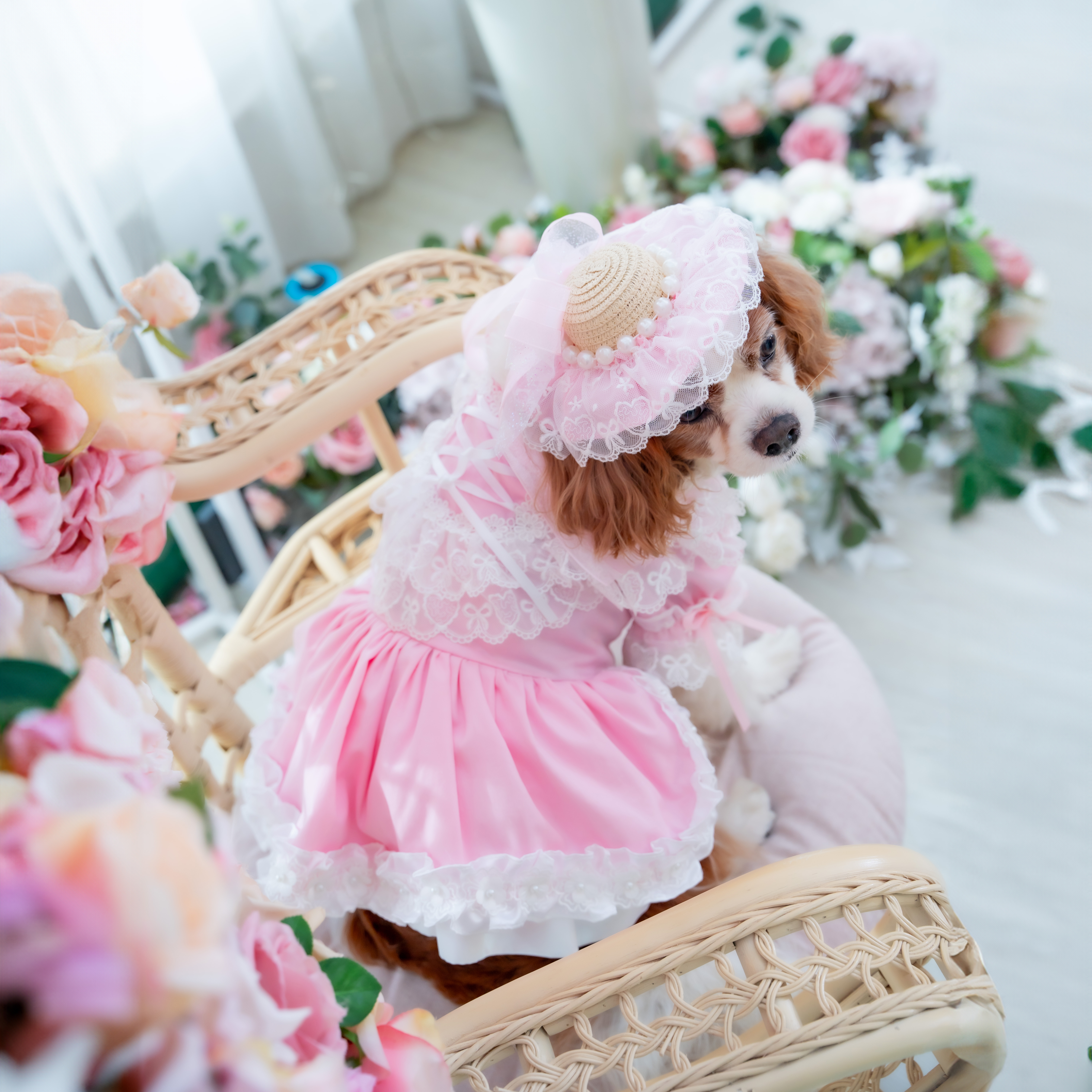 【にゃおこさま専用】DRESCCOベビーピンクローズベルトドレス DRESCCO（ドレスコ） ワンピース 入園式 卒園式 ハンドメイド