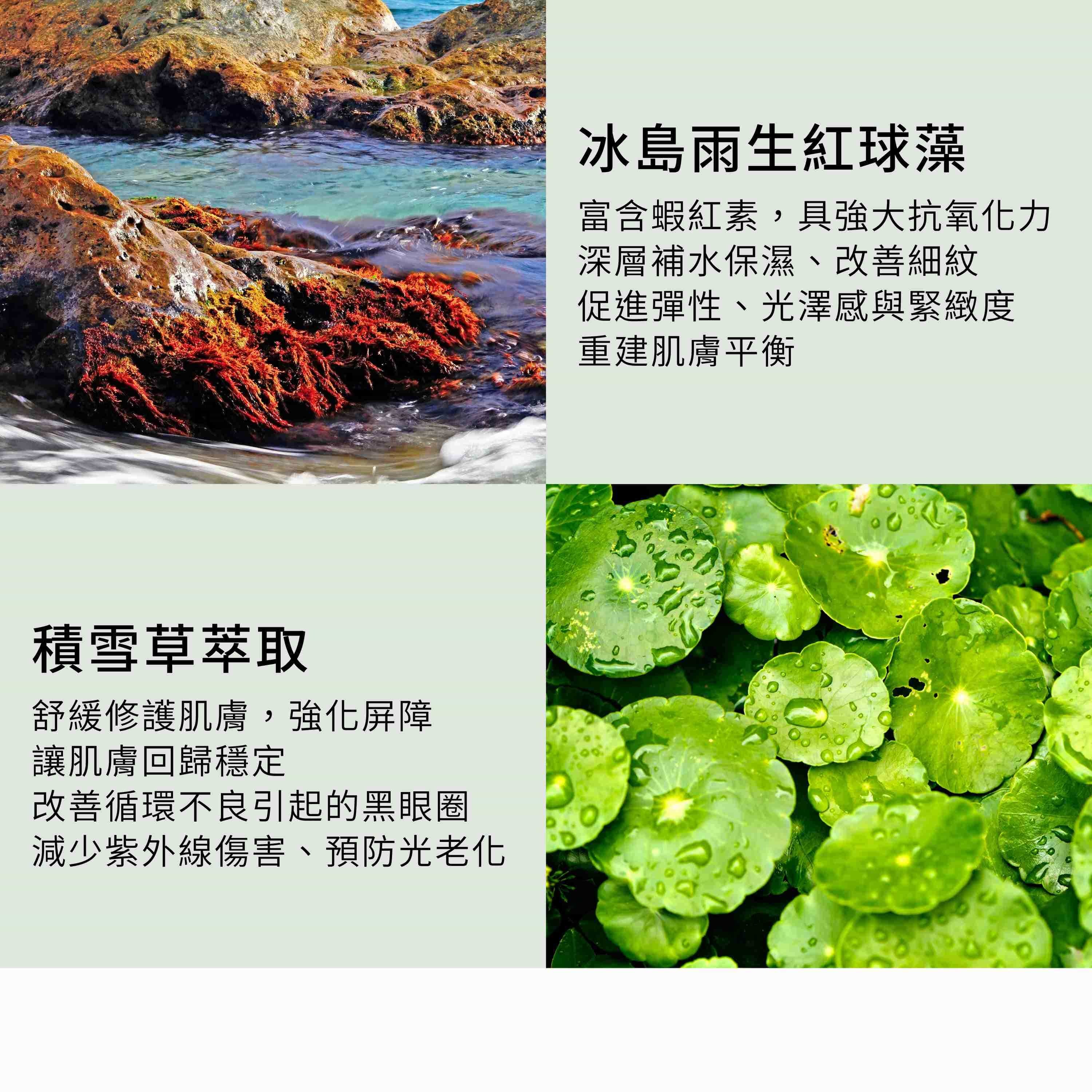 乳香雙效保濕霜含3大抗老植萃能量,包括冰島雨生紅球藻與積雪草萃取
