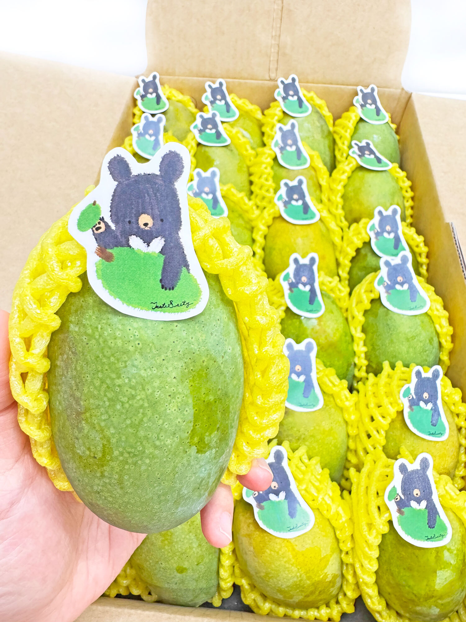 格紋芒果熊土芒果禮盒特級9台斤裝(4-6台兩/粒)