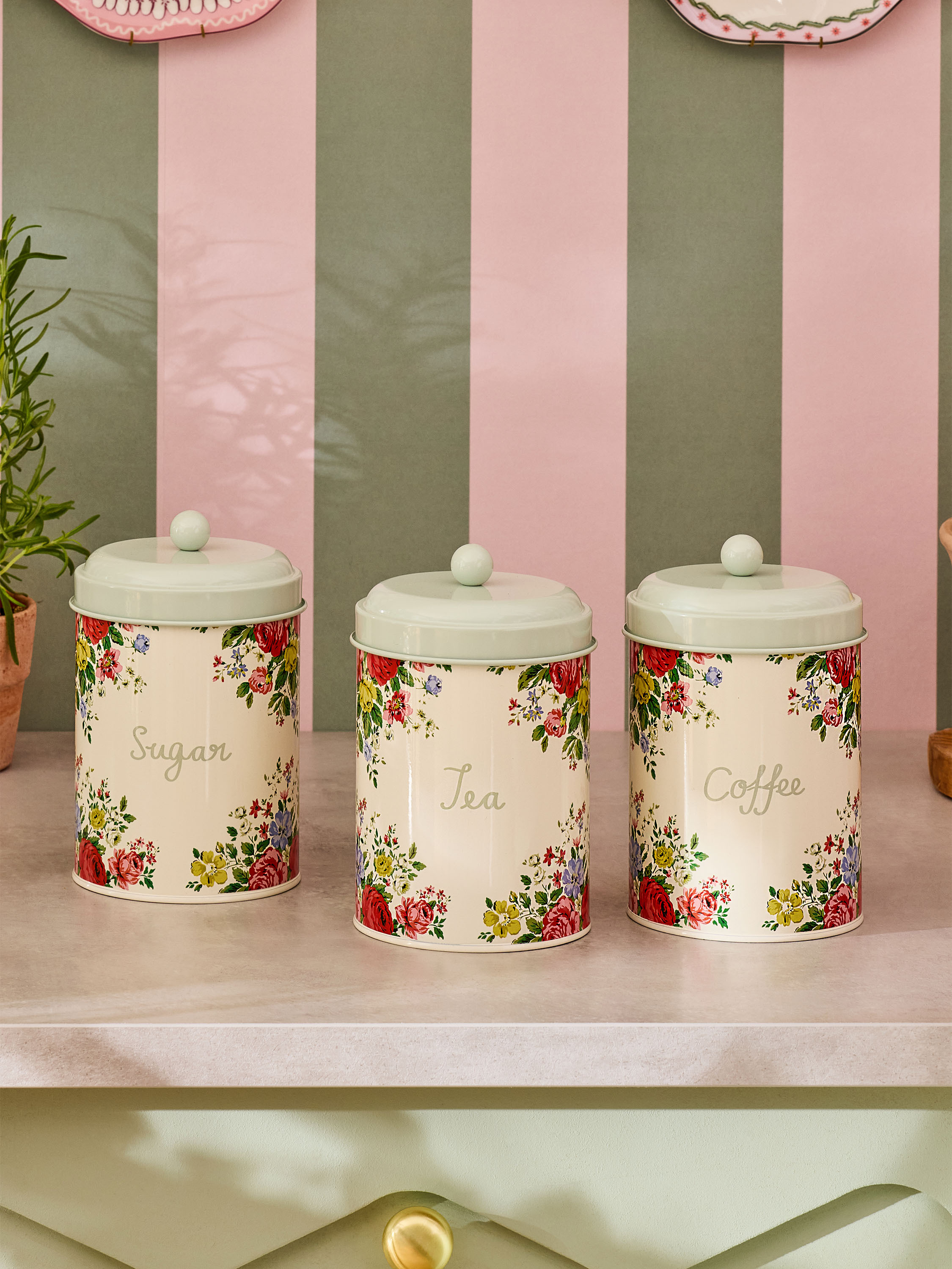 Hampstead Rose 茶葉收納罐