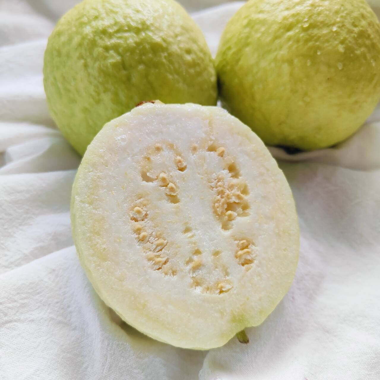 【彰化】帝王芭樂 3顆/袋