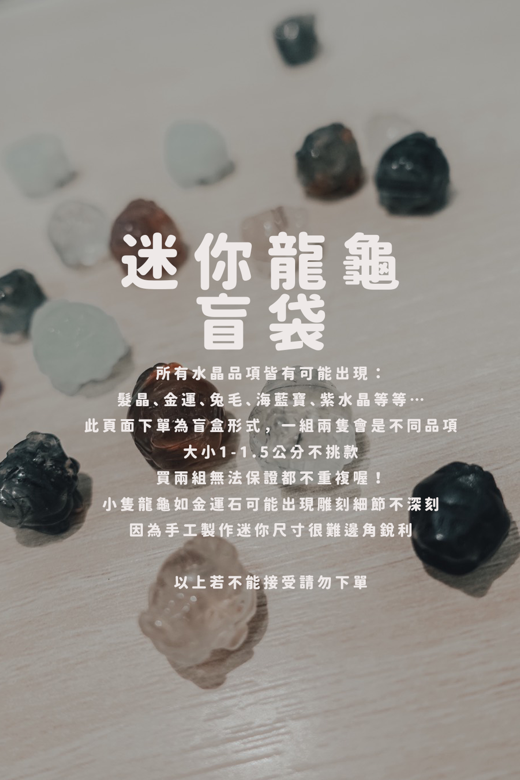 ♥．超迷你龍龜盲袋．1公分超迷你龍龜♥